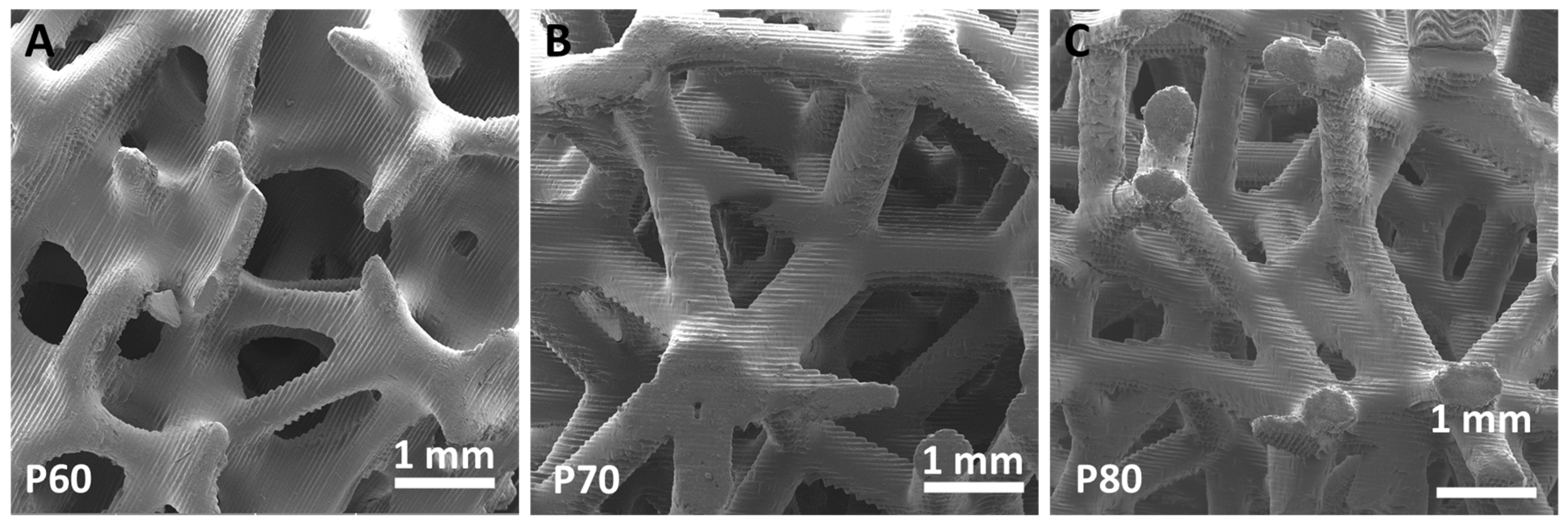 Materials 16 02342 g002