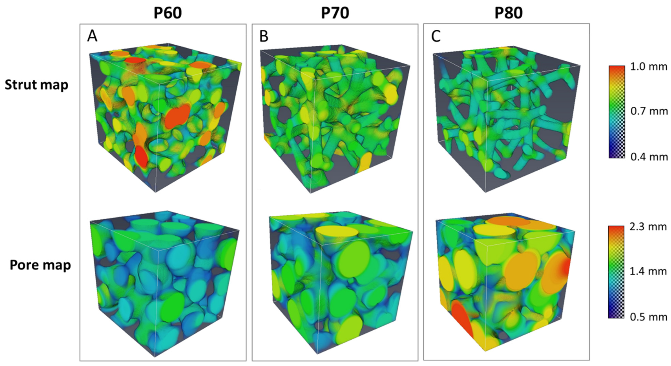 Materials 16 02342 g004