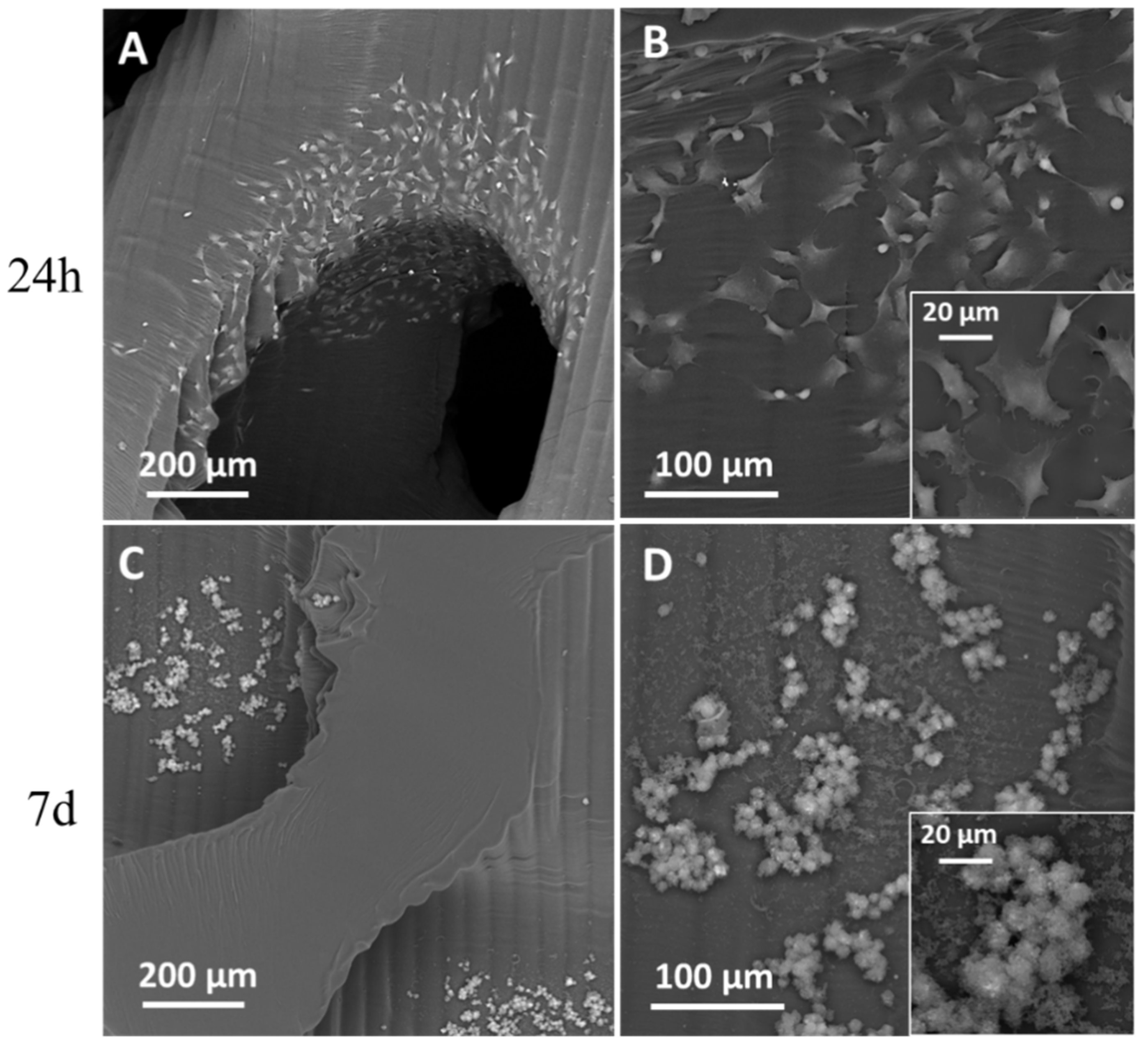 Materials 16 02342 g007