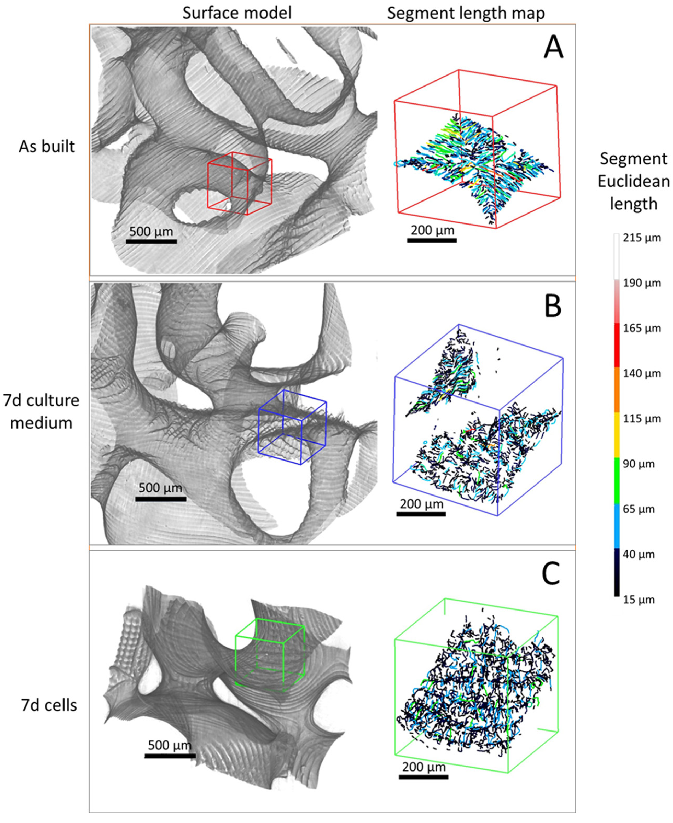 Materials 16 02342 g008