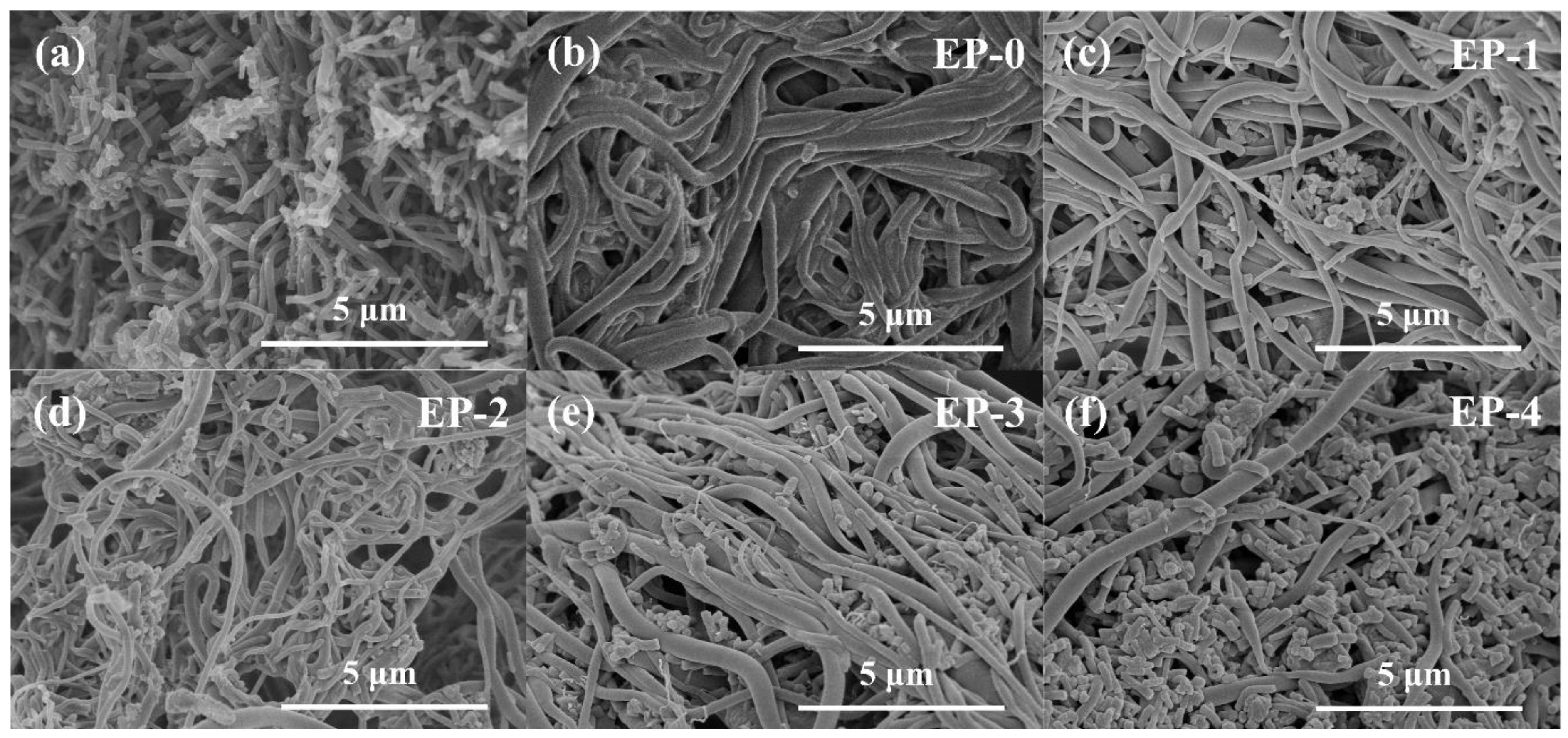 Materials 16 02393 g002 Materials 16 02393 g002