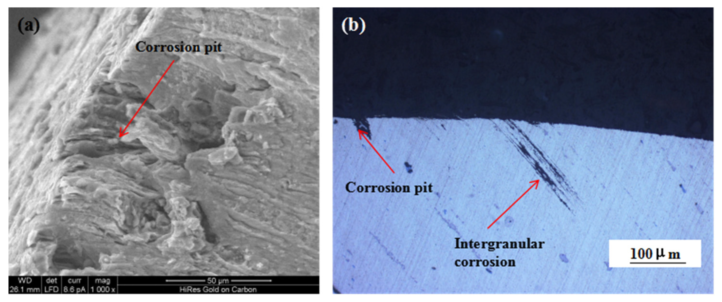Materials 16 02396 g010 Materials 16 02396 g010