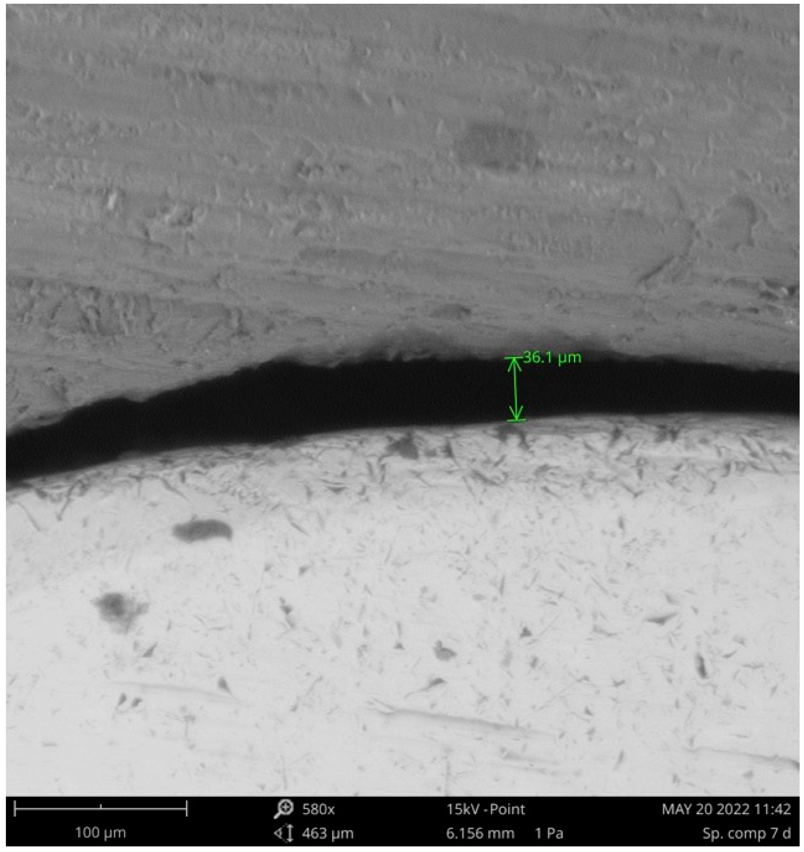 Materials 16 02413 g004