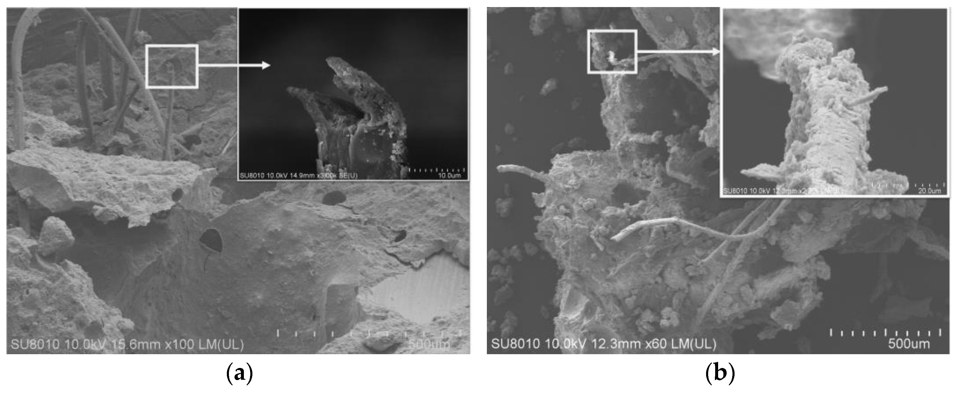 Materials 16 02414 g005