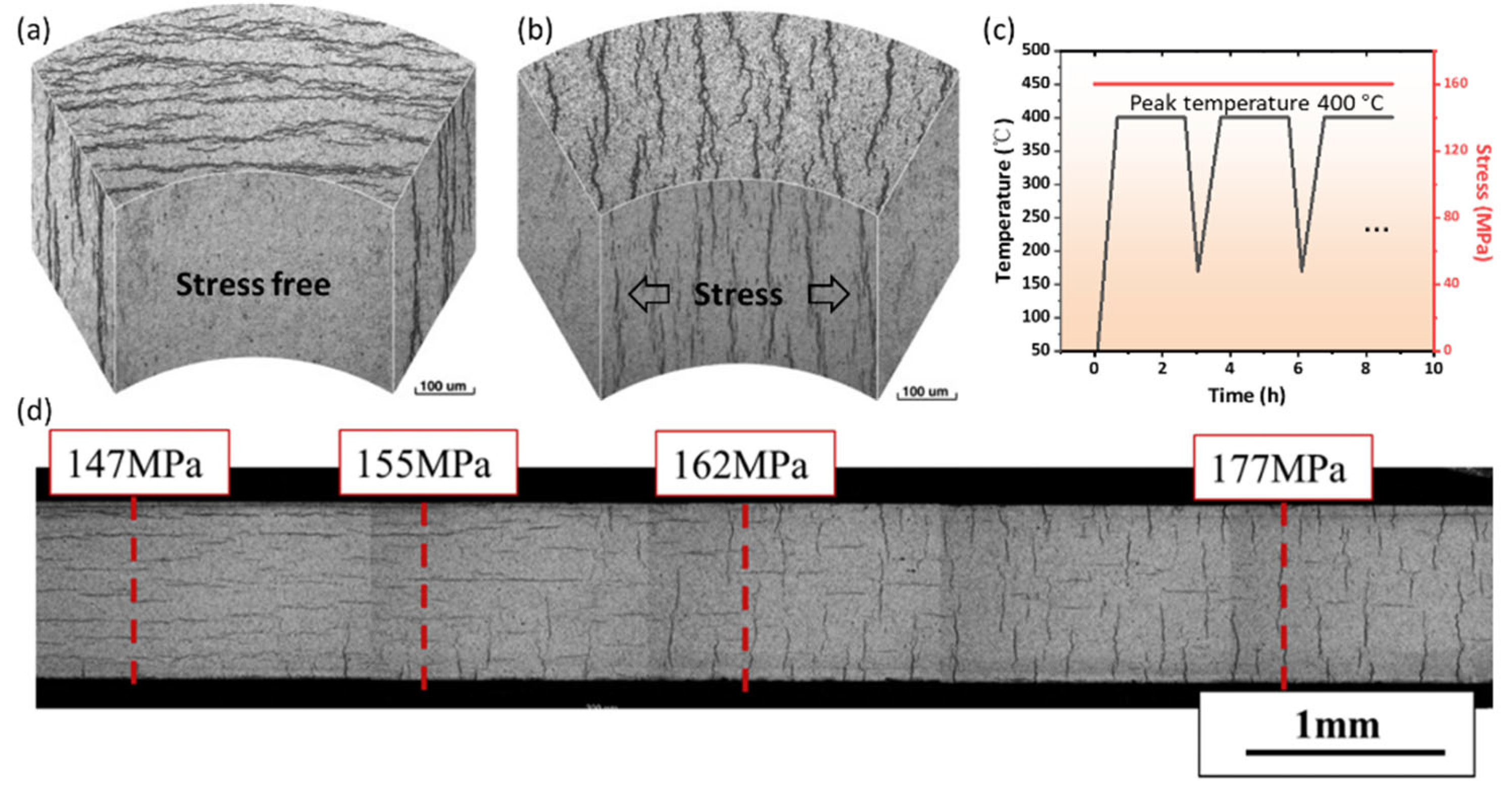 Materials 16 02419 g007