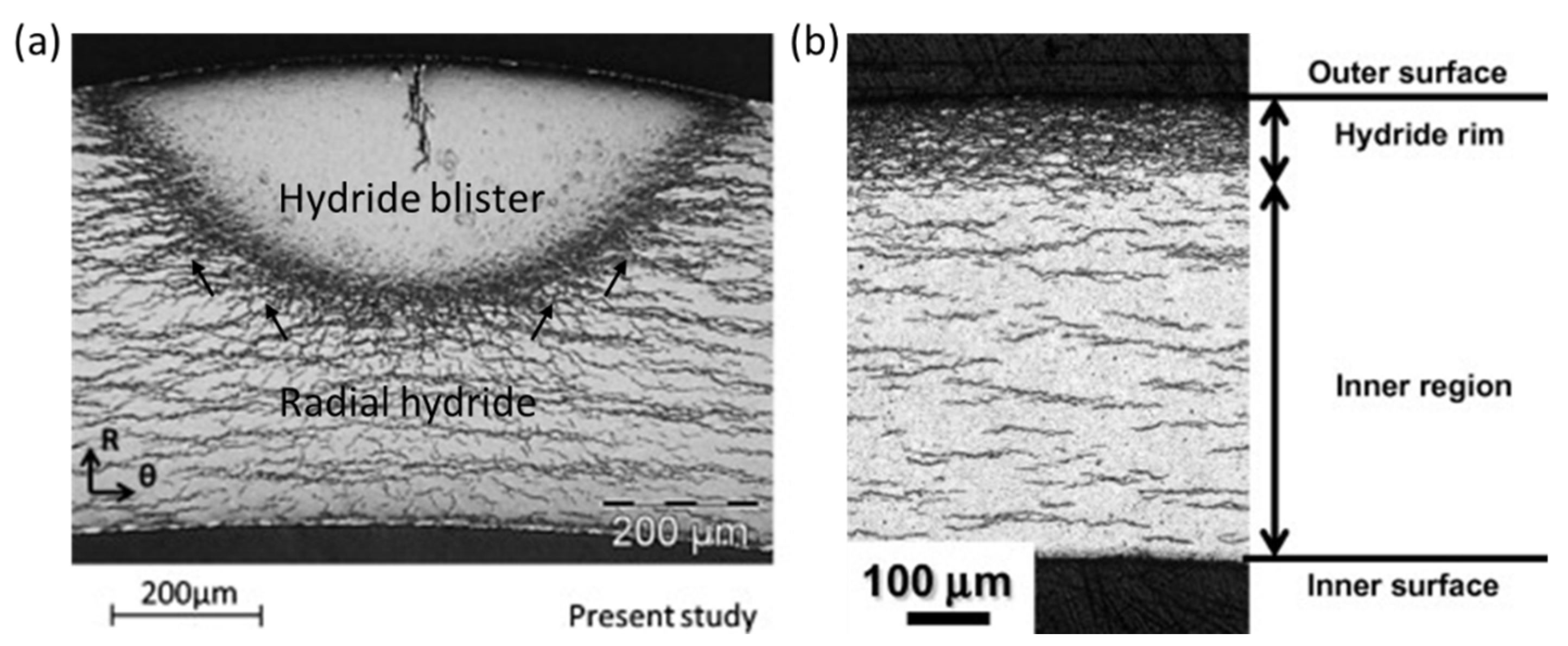 Materials 16 02419 g011