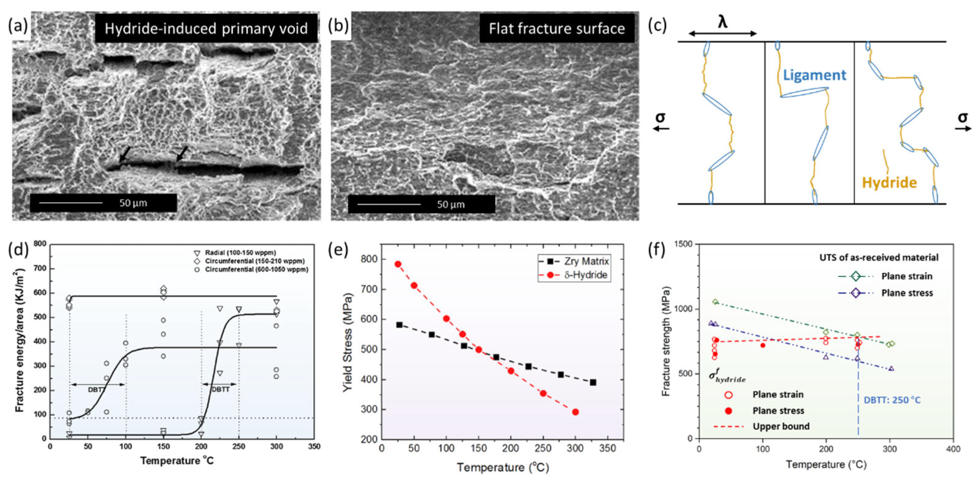 Materials 16 02419 g012