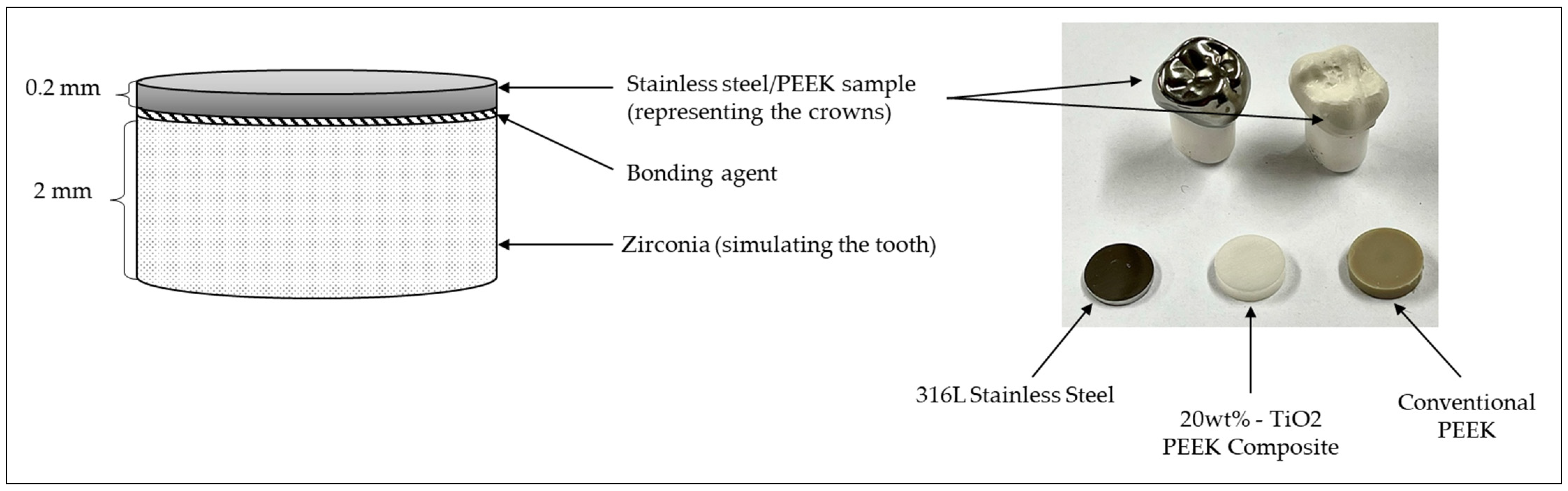 Materials 16 02420 g001