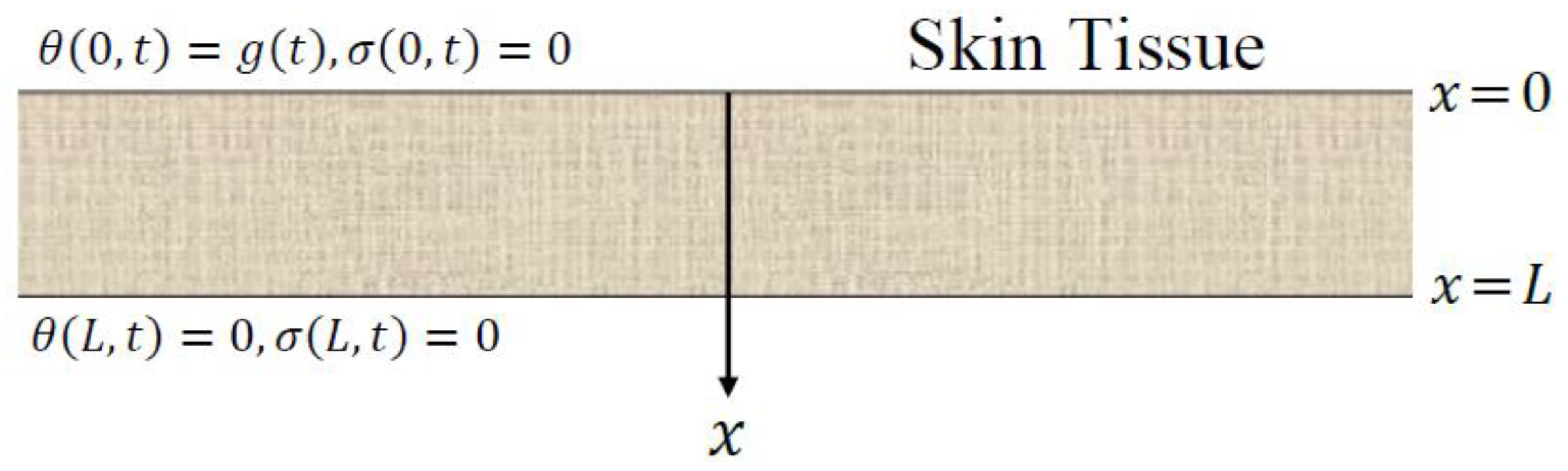 Materials 16 02421 g001