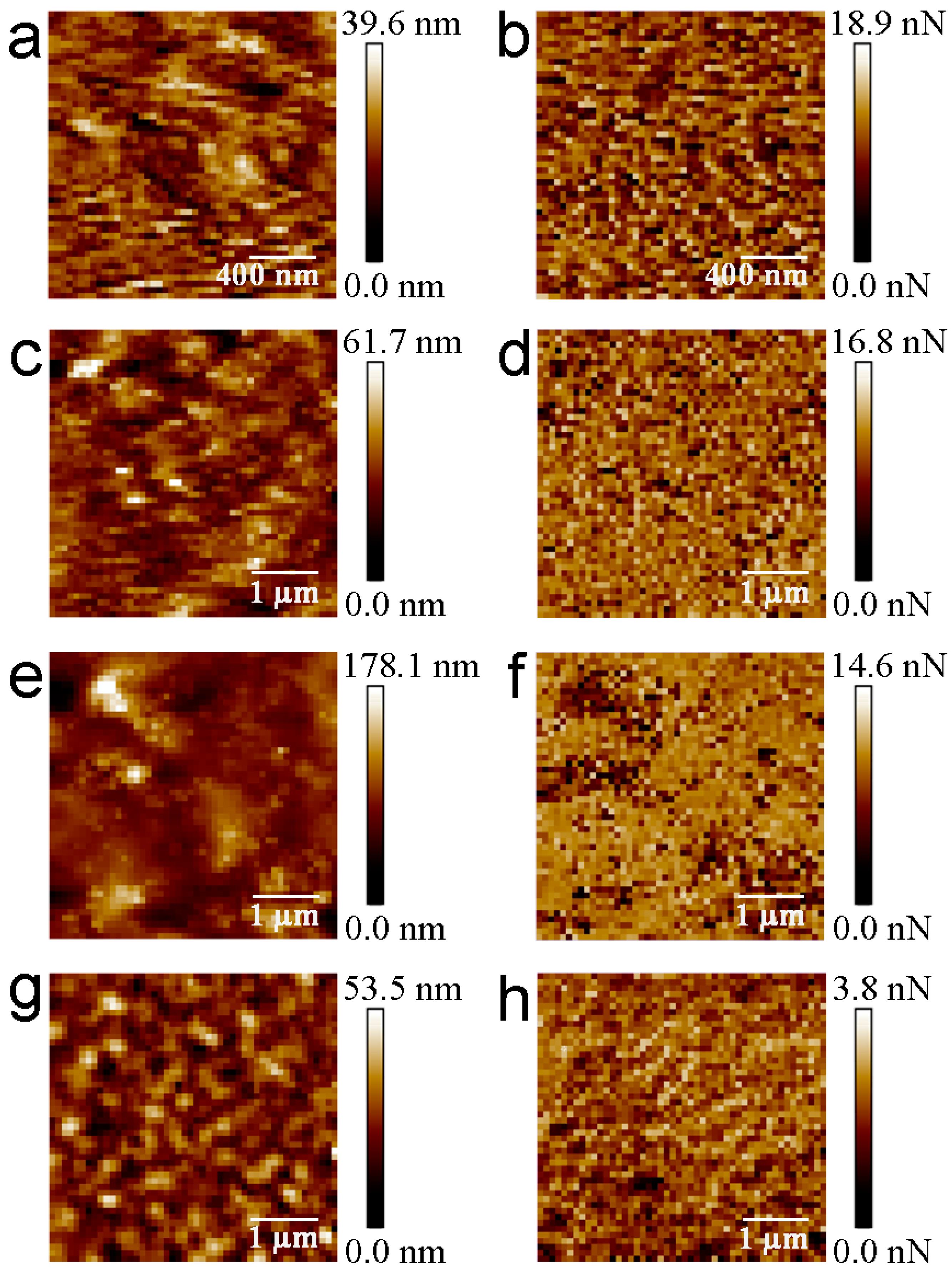 Materials 16 02440 g003 Materials 16 02440 g003