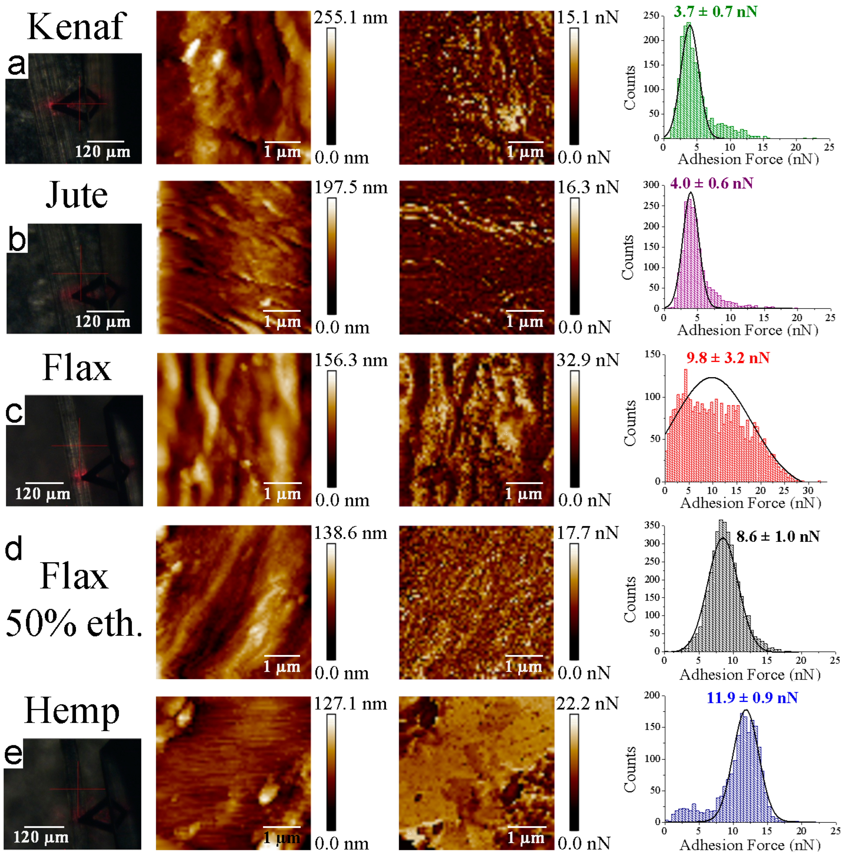 Materials 16 02440 g005 Materials 16 02440 g005