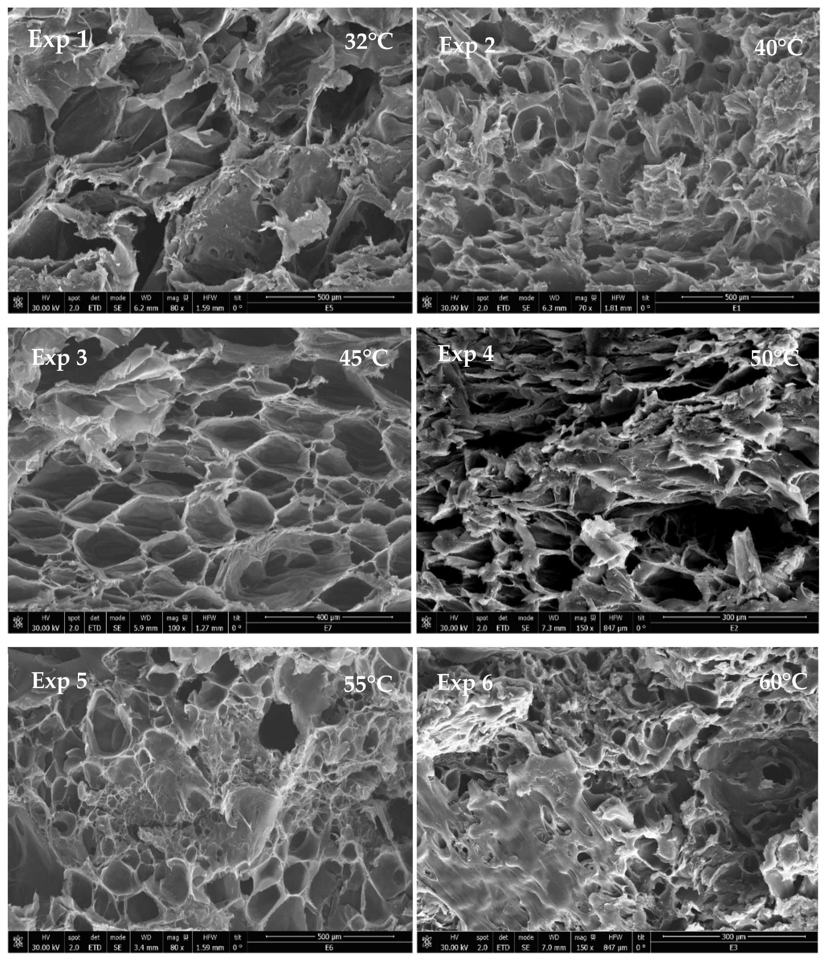 Materials 16 02441 g006 Materials 16 02441 g006