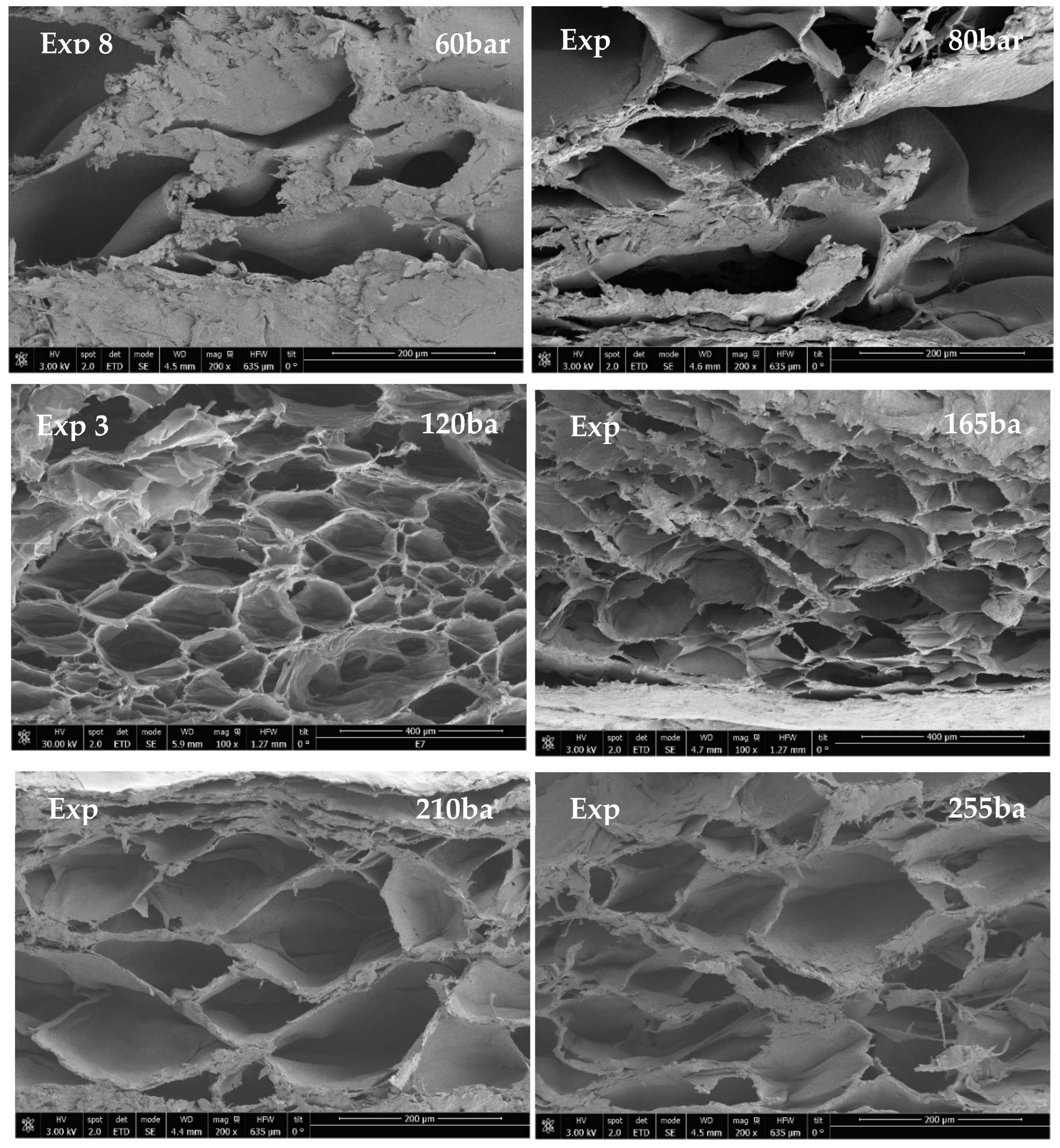 Materials 16 02441 g008 Materials 16 02441 g008