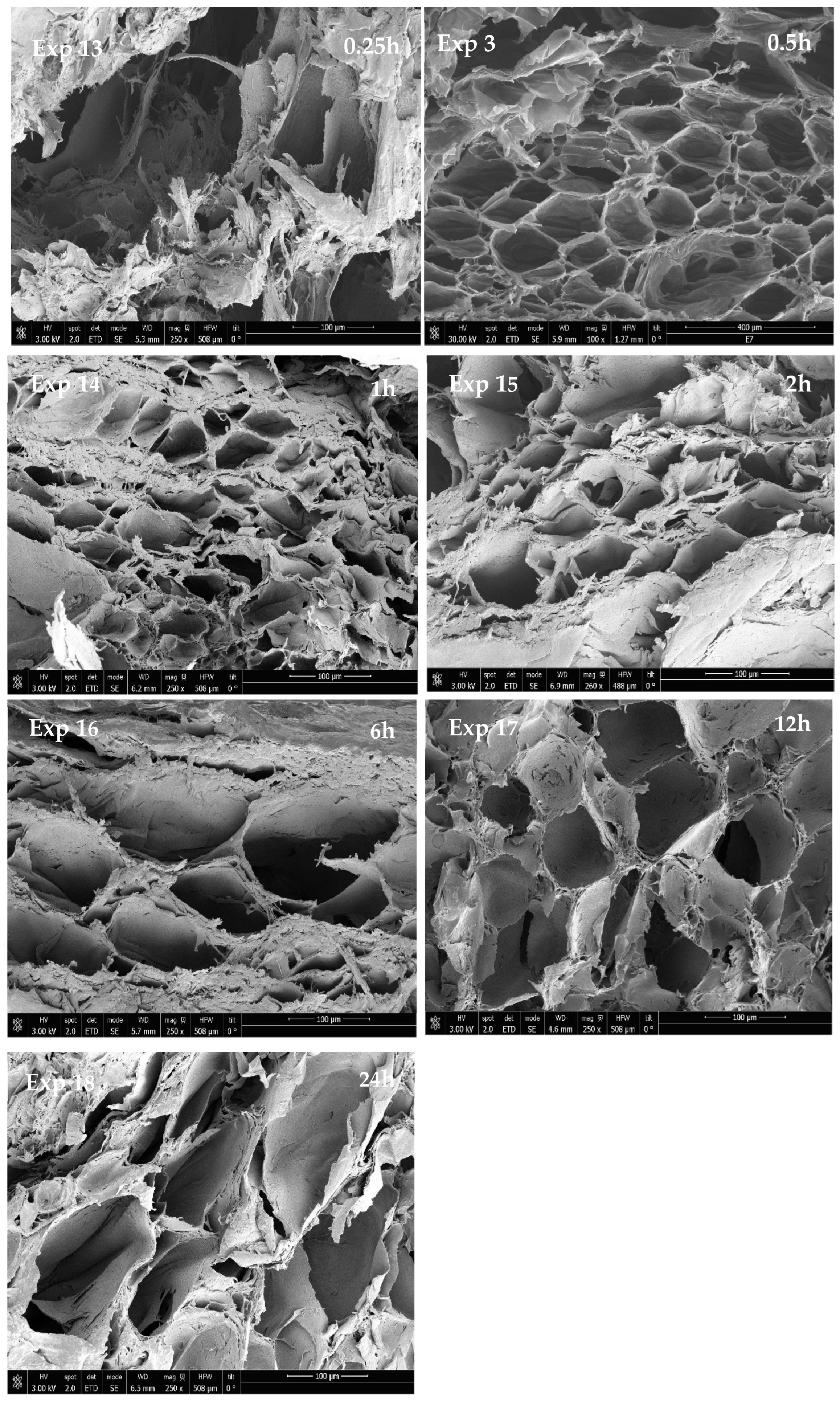 Materials 16 02441 g010 Materials 16 02441 g010