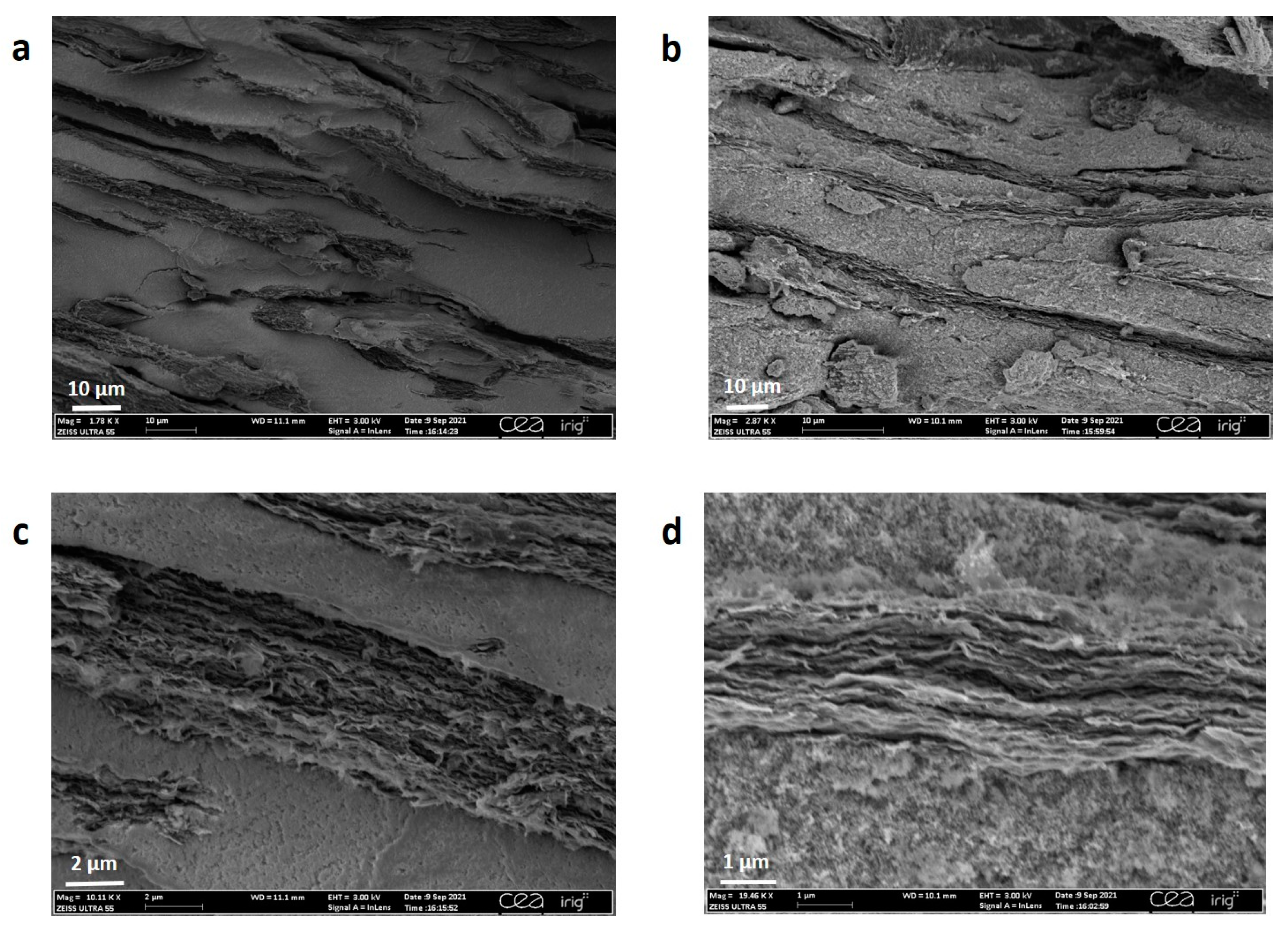 Materials 16 02451 g009 Materials 16 02451 g009