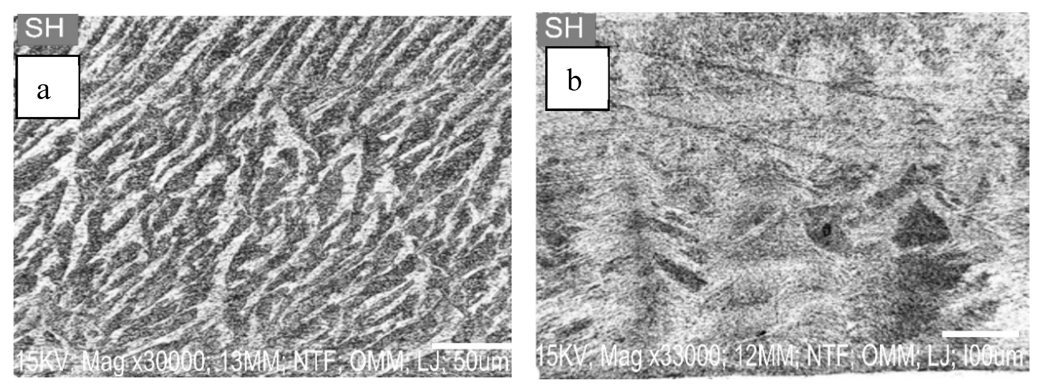 Materials 16 02471 g002 Materials 16 02471 g002