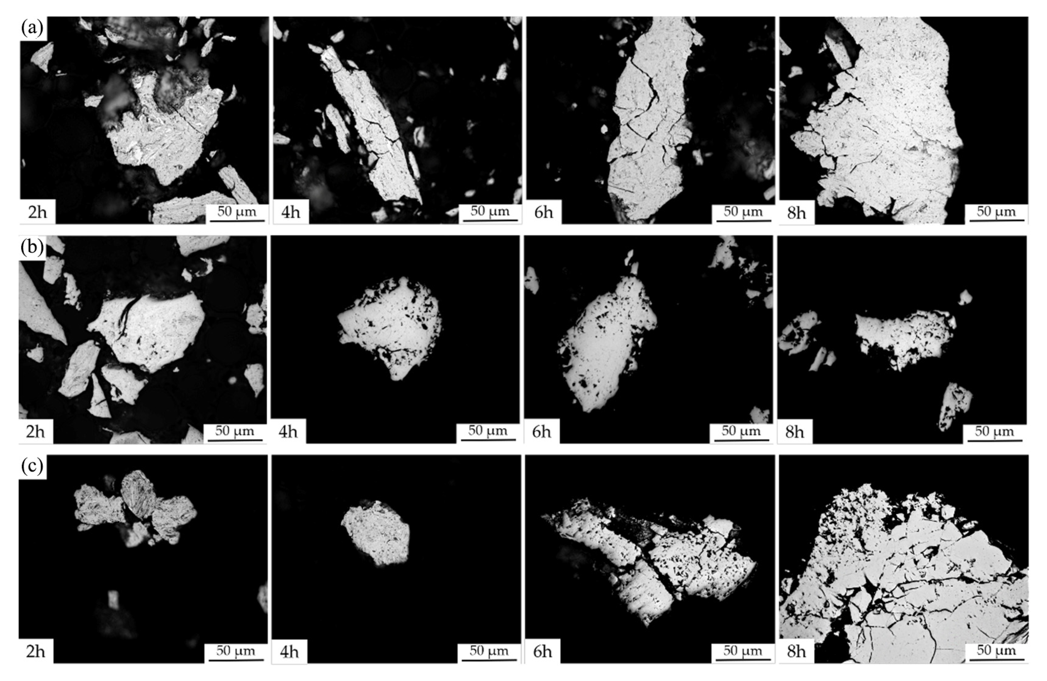 Materials 16 02491 g002 Materials 16 02491 g002