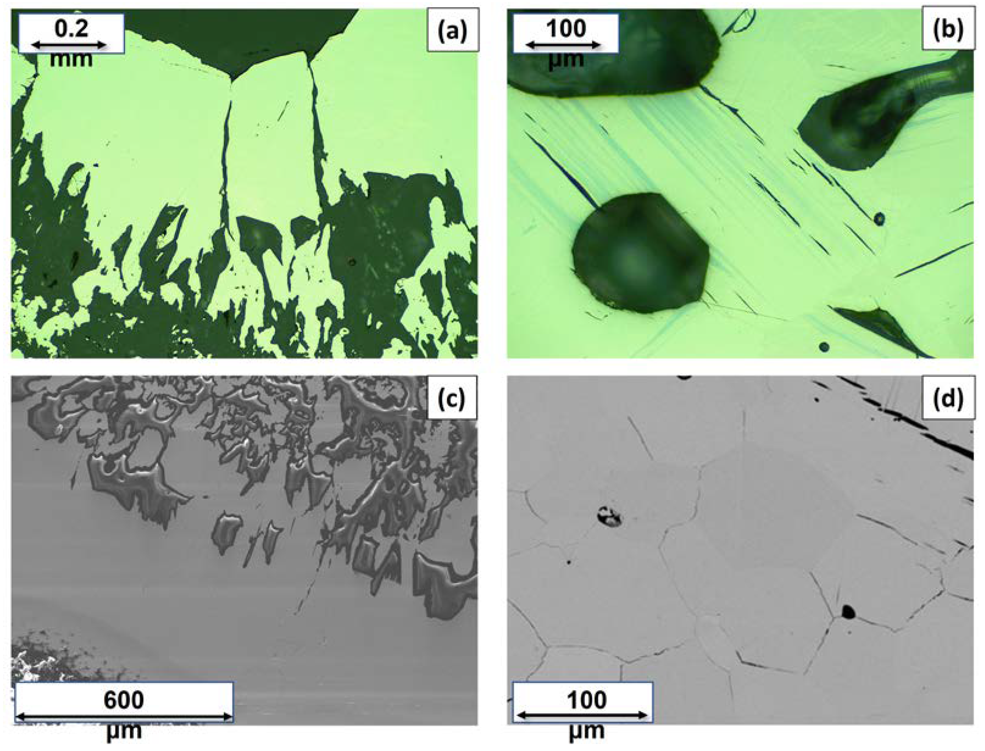 Materials 16 02501 g001 Materials 16 02501 g001
