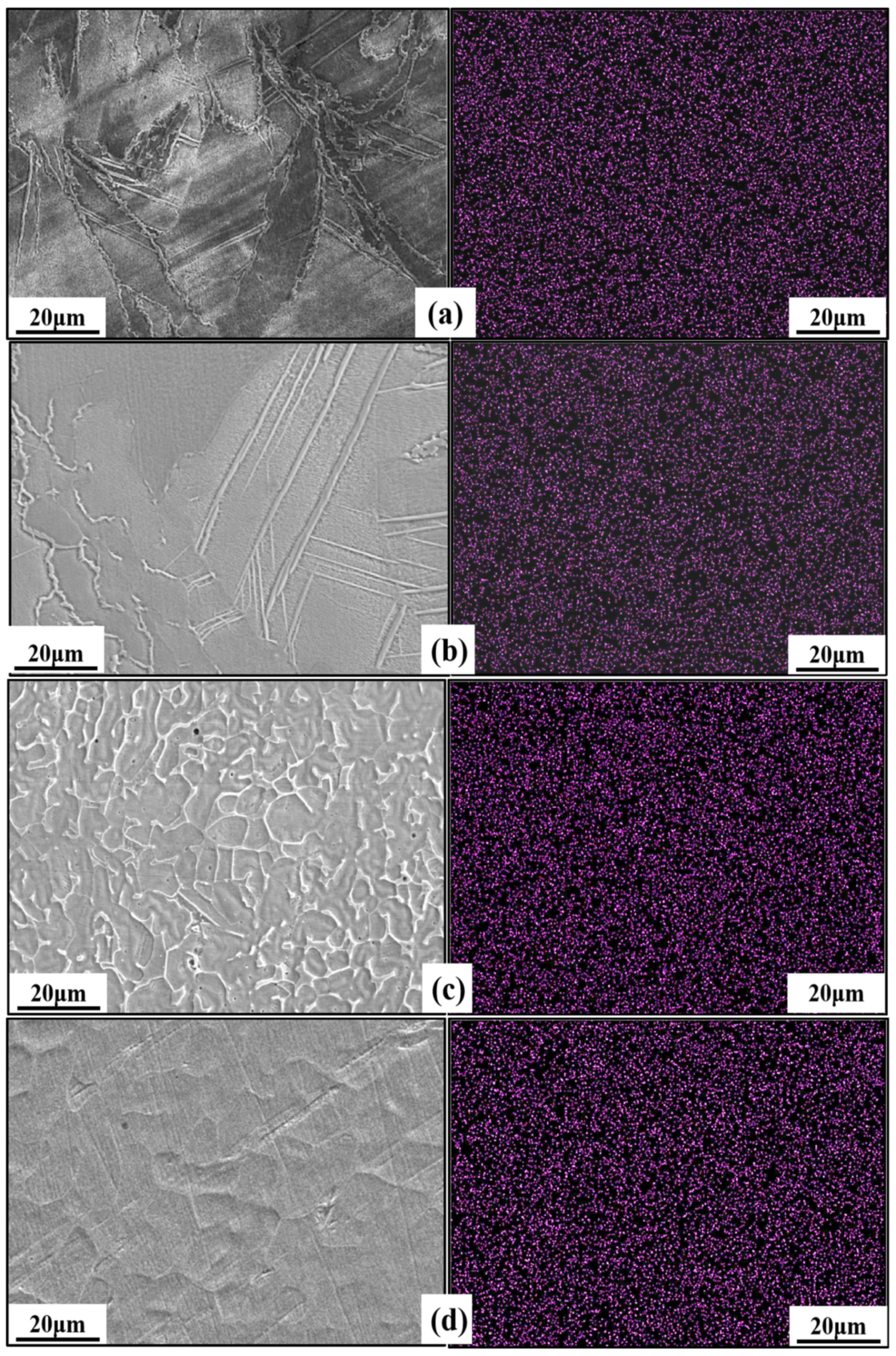 Materials 16 02505 g008