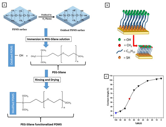 Materials 16 02506 g004