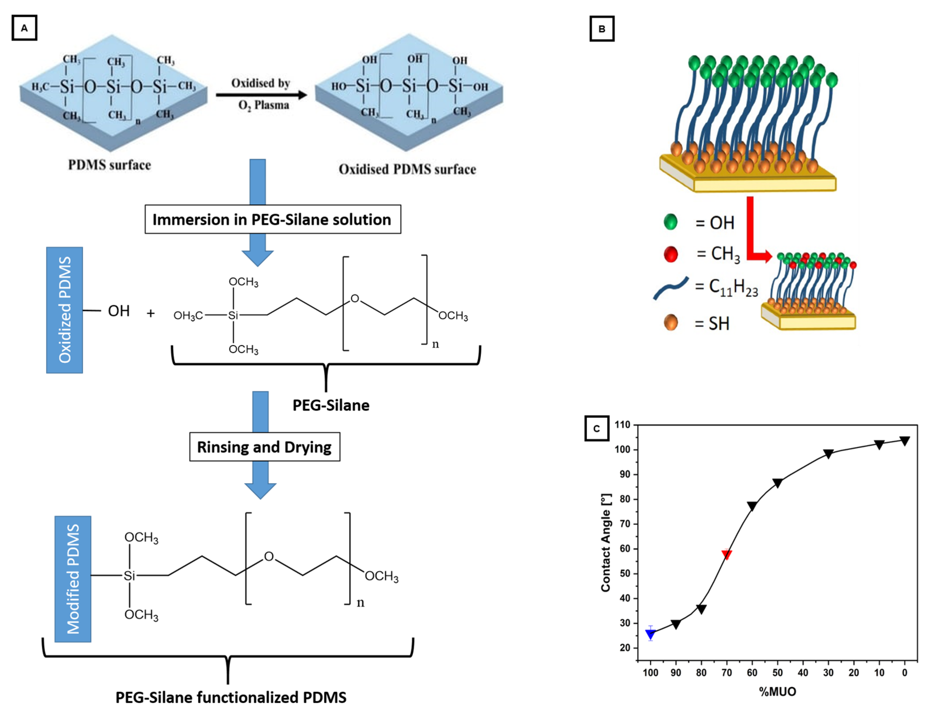 Materials 16 02506 g004