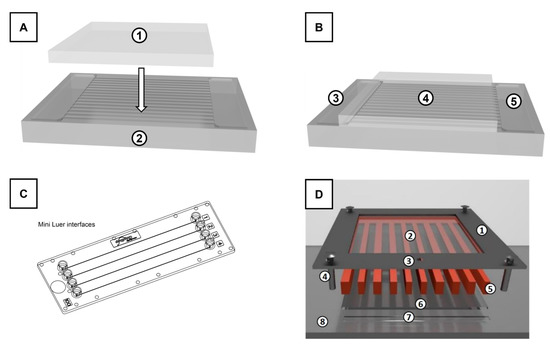 Materials 16 02506 g005