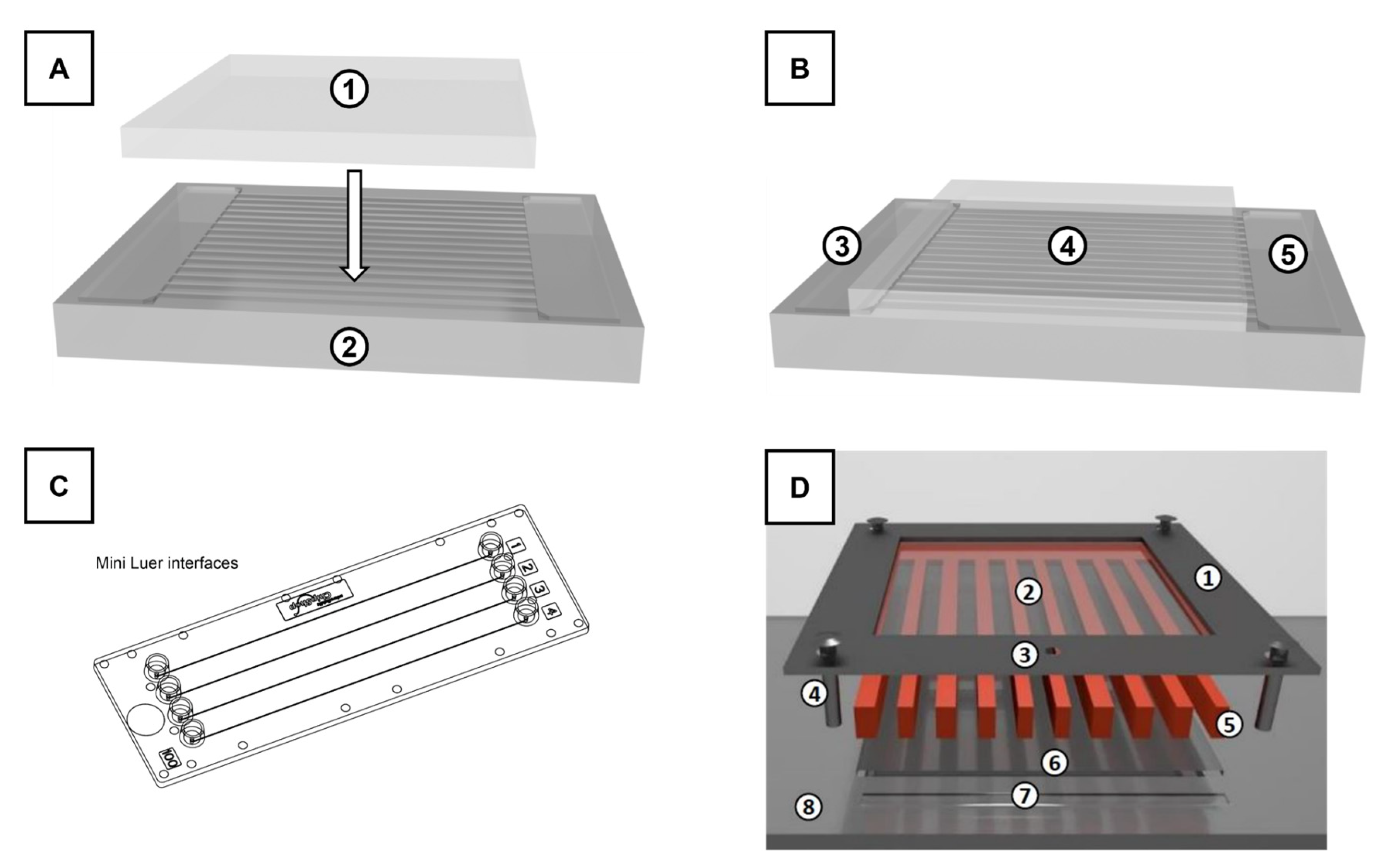 Materials 16 02506 g005