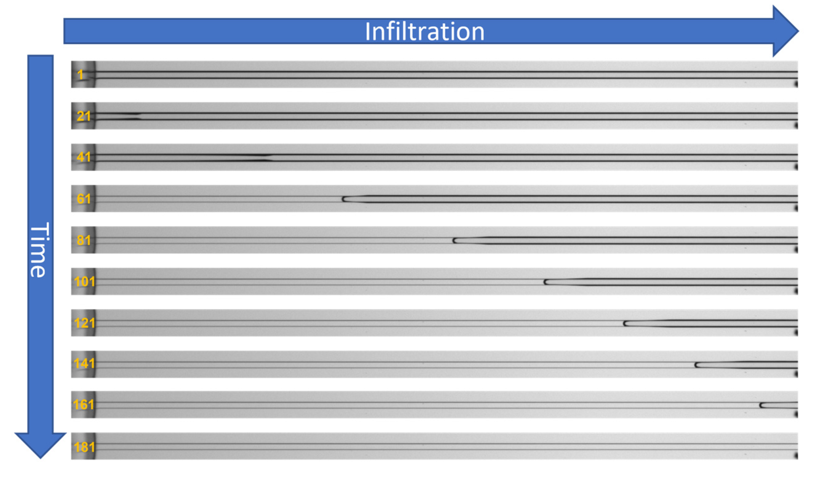 Materials 16 02506 g007