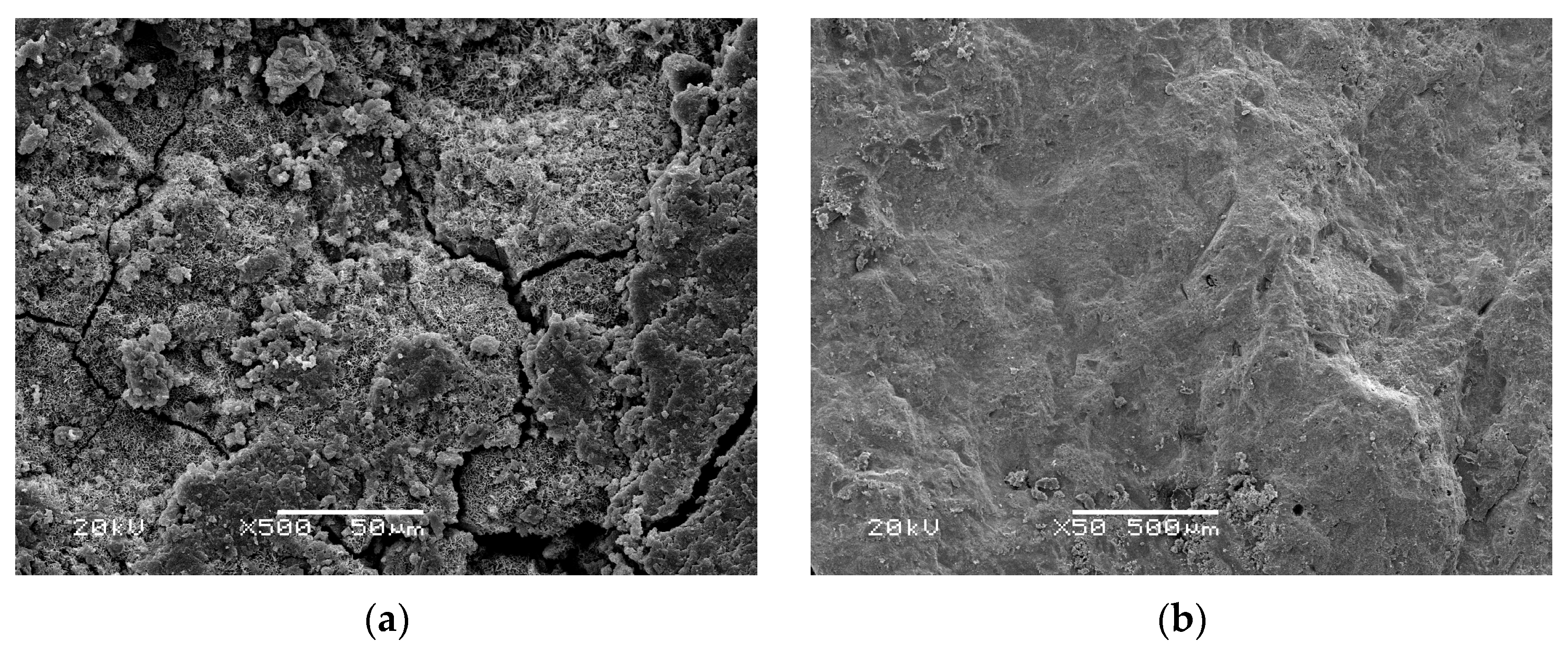 Materials 16 02521 g003