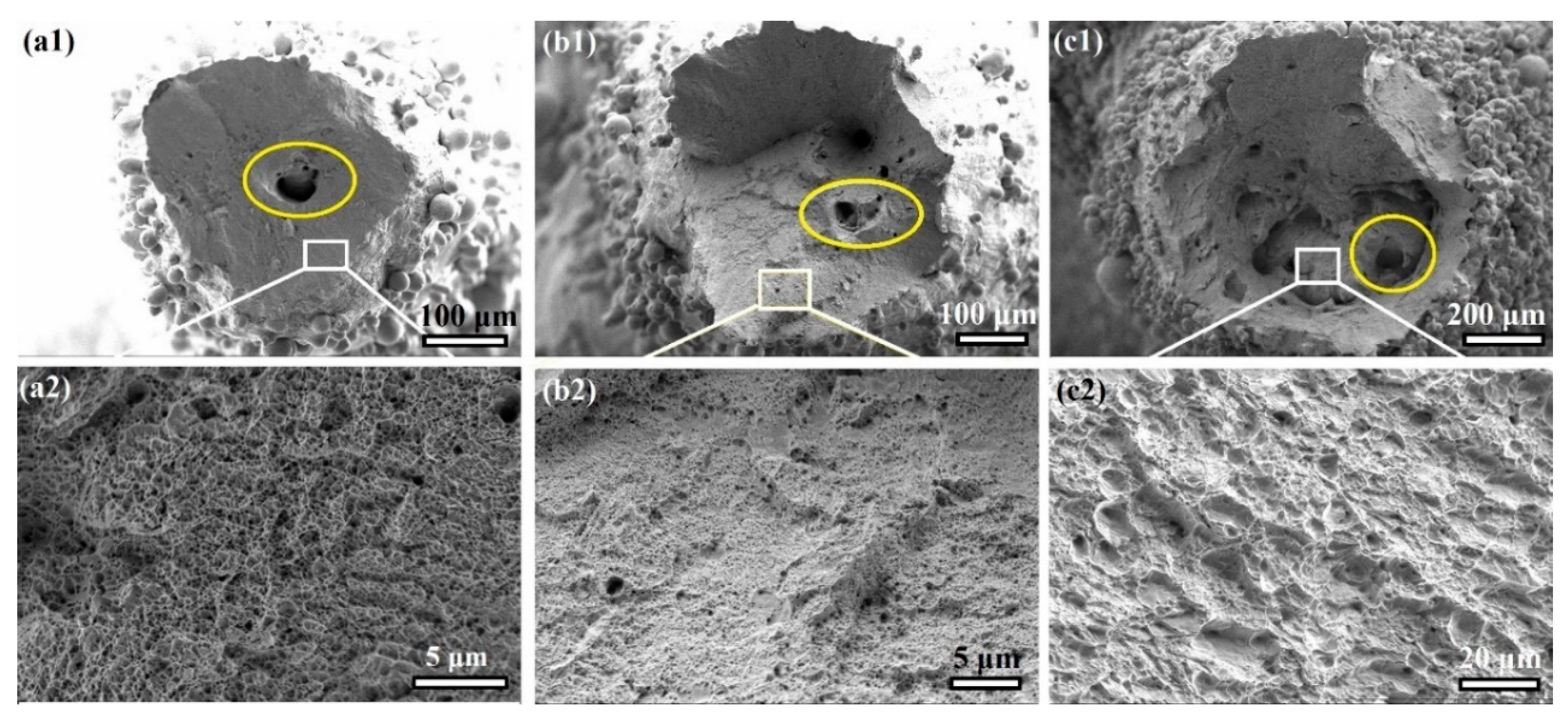 Materials 16 02523 g005 Materials 16 02523 g005