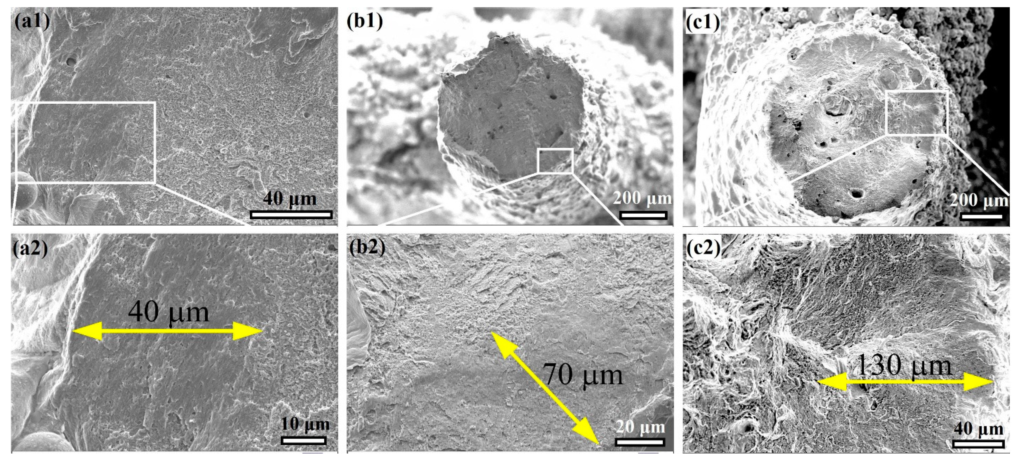 Materials 16 02523 g006 Materials 16 02523 g006