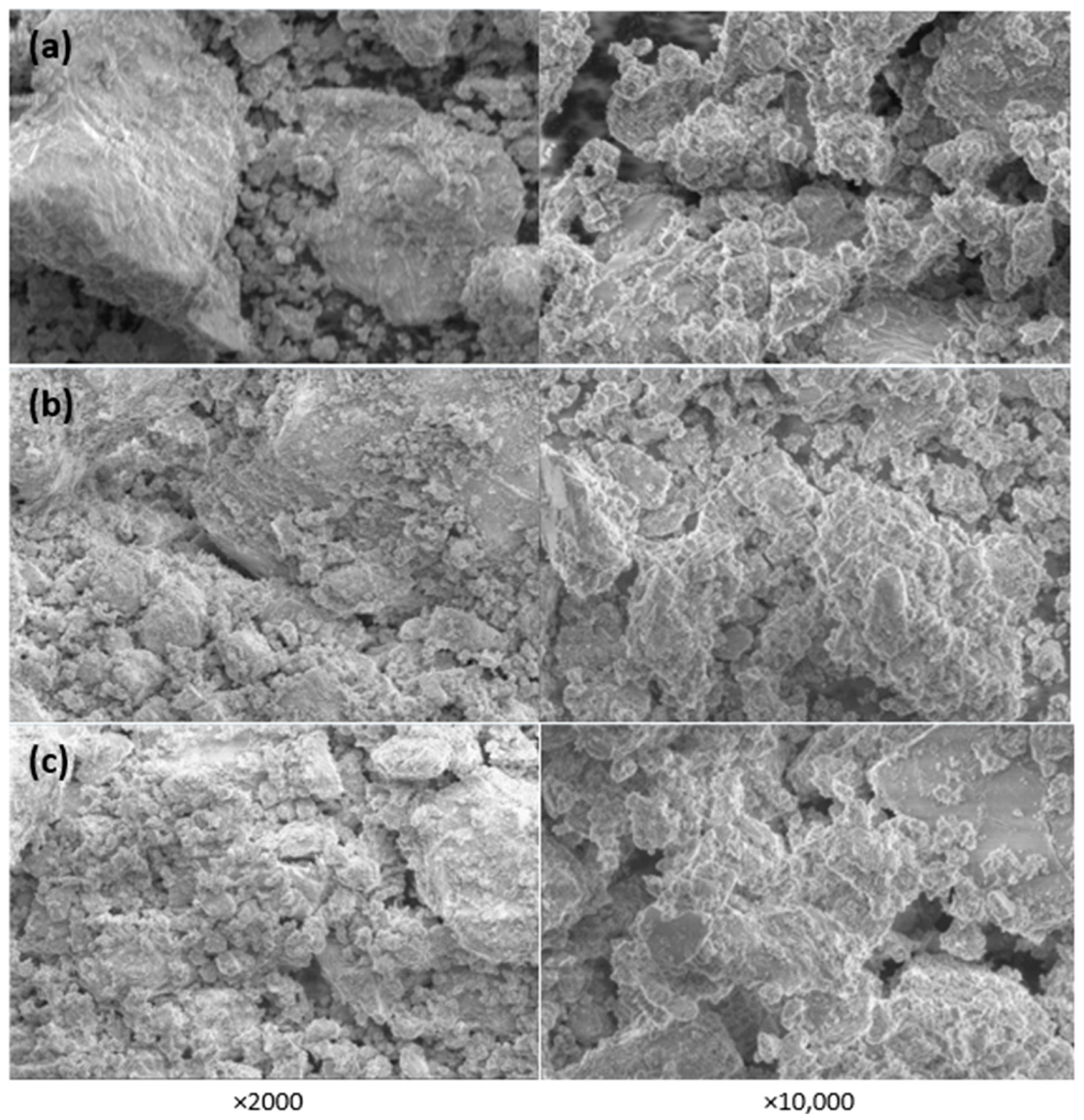 Materials 16 02531 g008