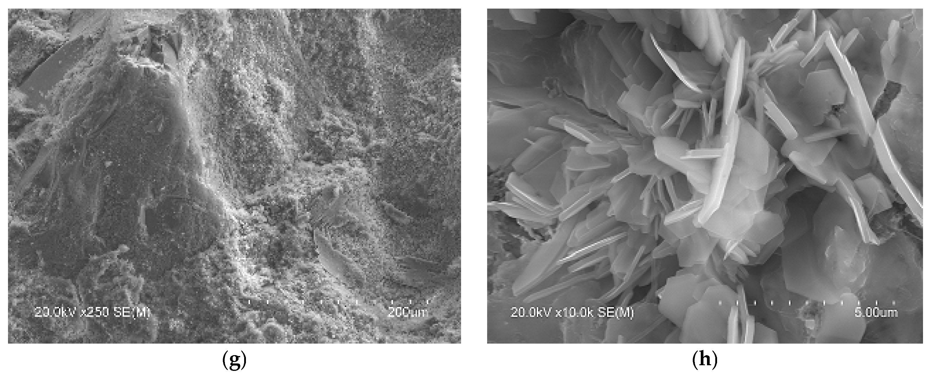 Materials 16 02538 g006b Materials 16 02538 g006b