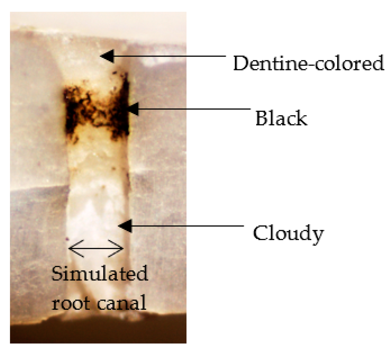 Materials 16 02542 g003 Materials 16 02542 g003