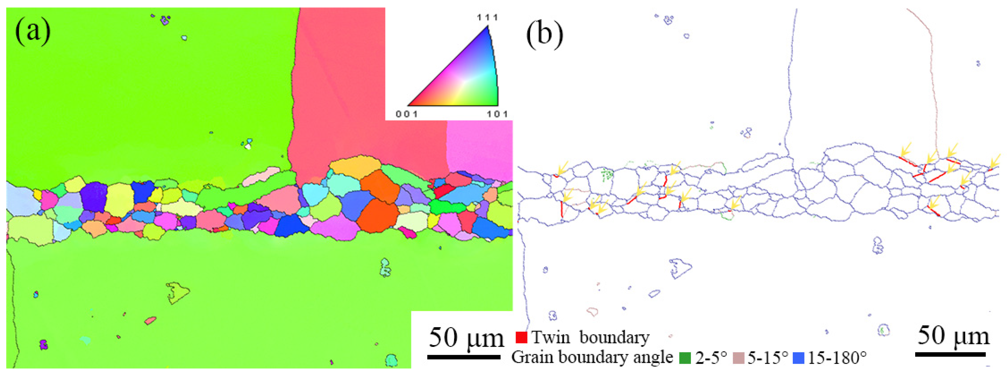 Materials 16 02554 g005