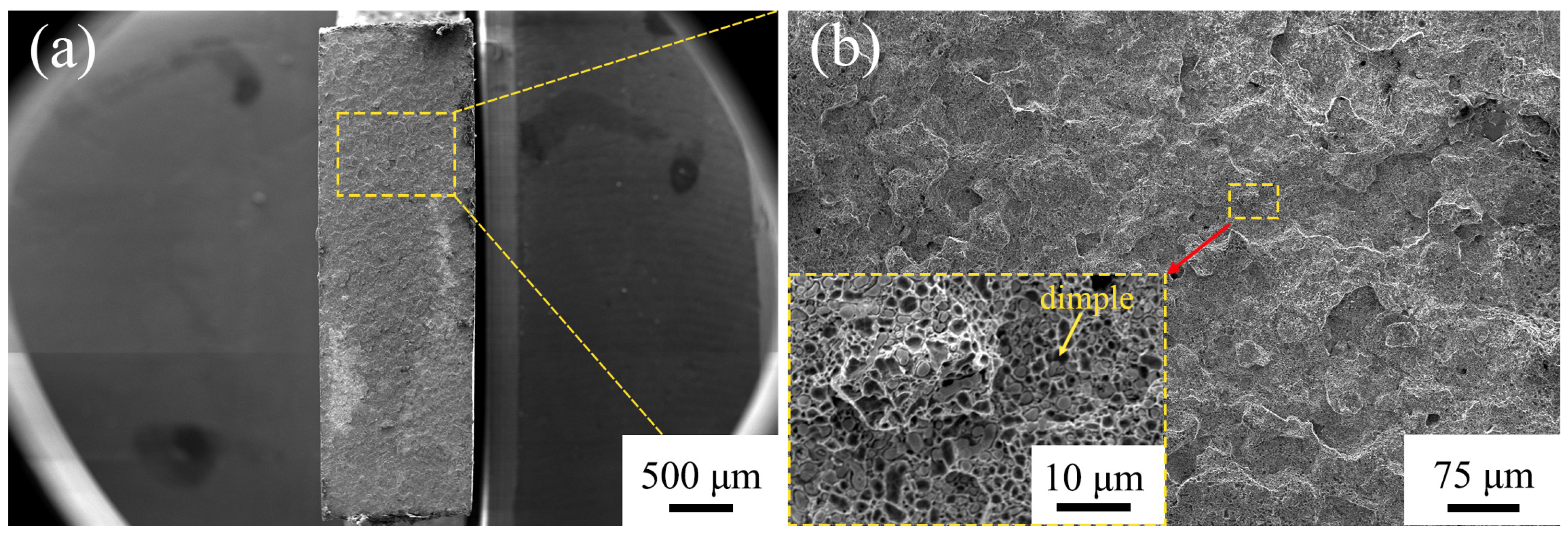 Materials 16 02554 g011