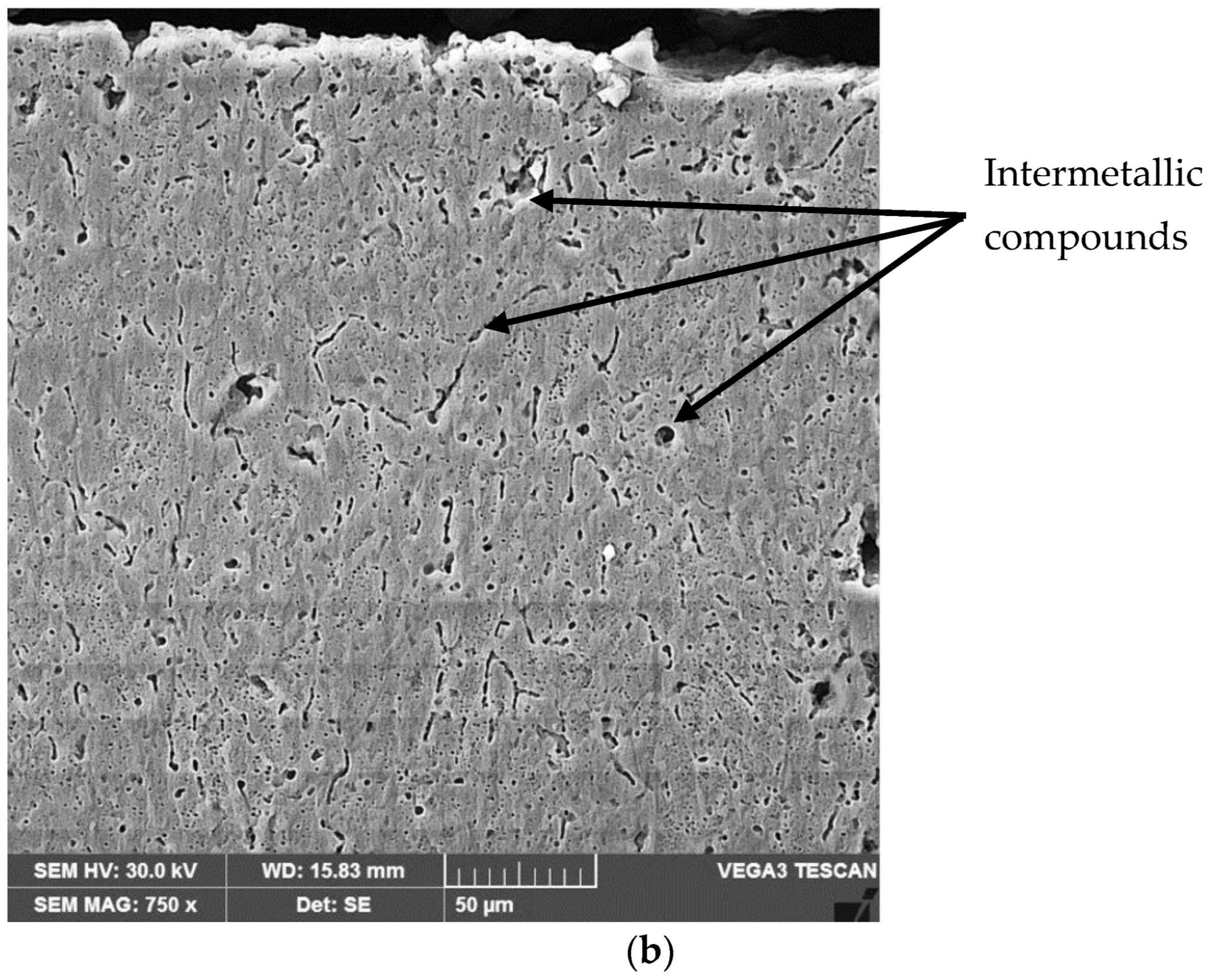 Materials 16 02563 g010b