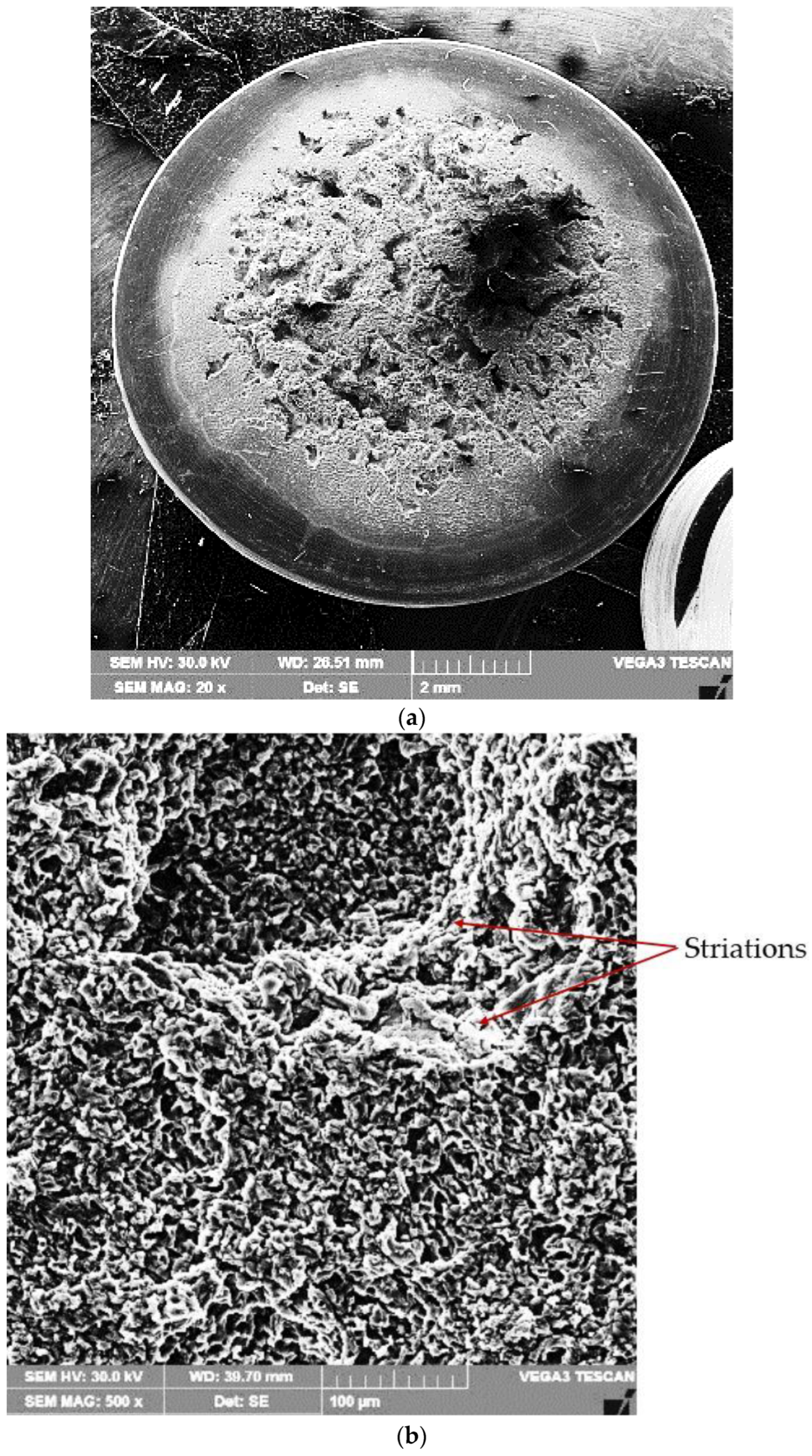 Materials 16 02563 g012a