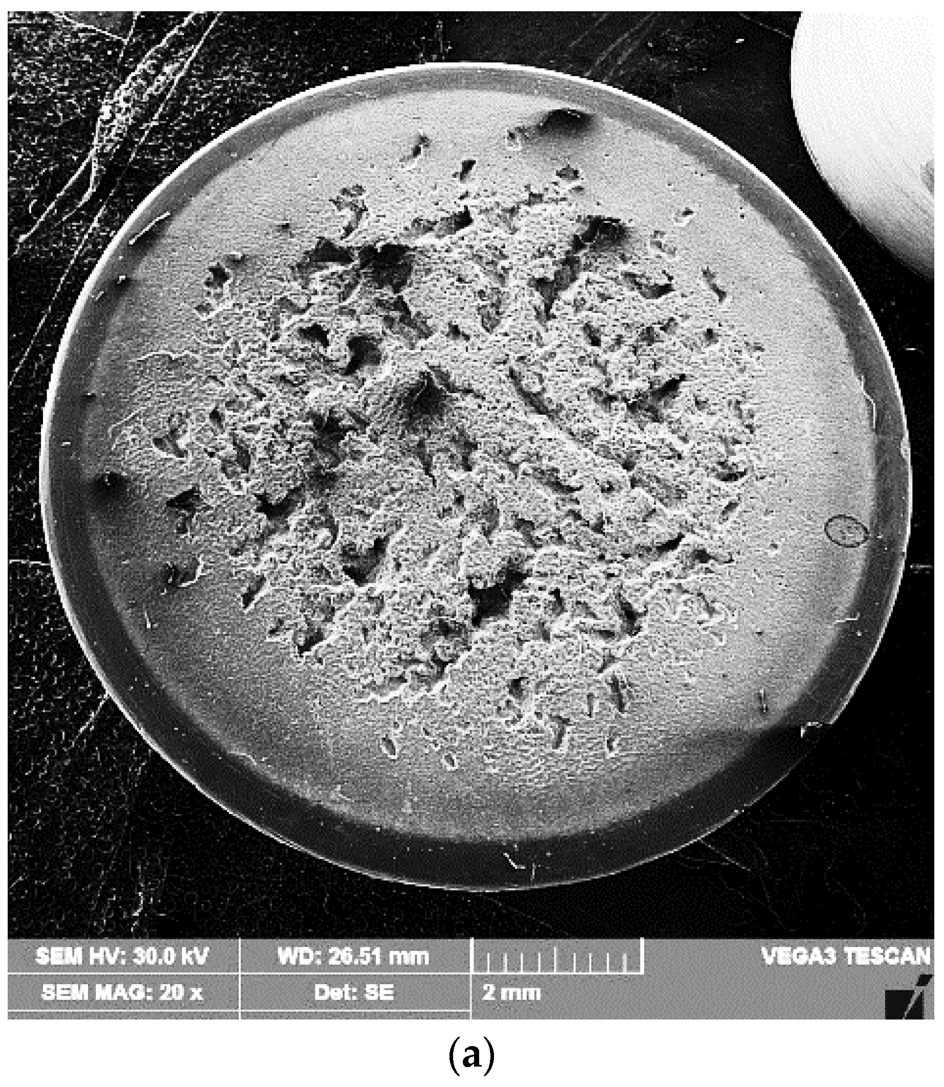 Materials 16 02563 g013a