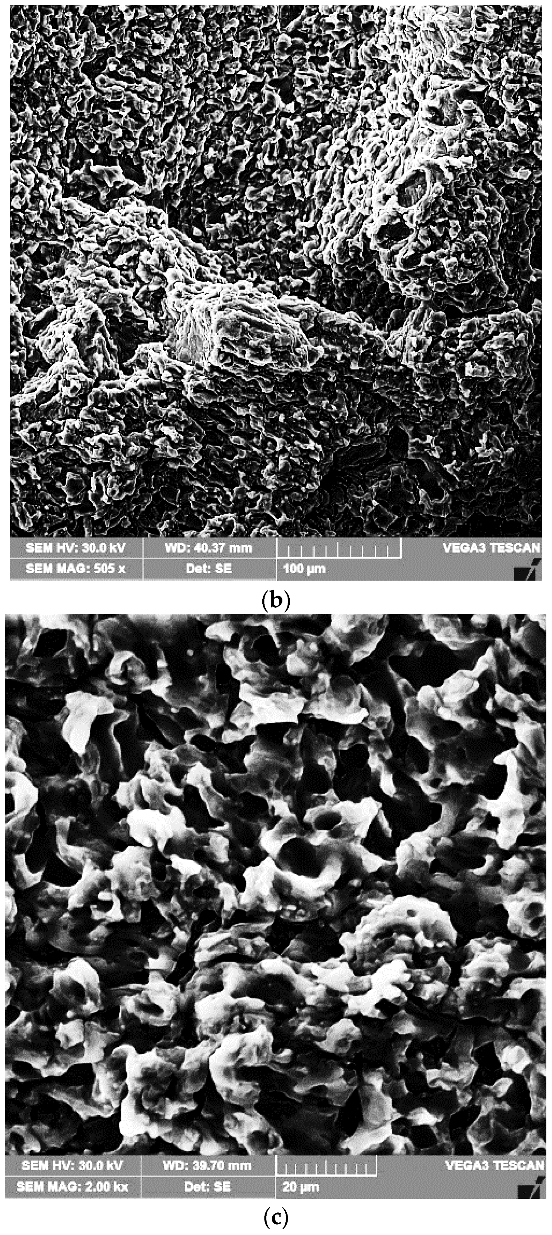 Materials 16 02563 g013b