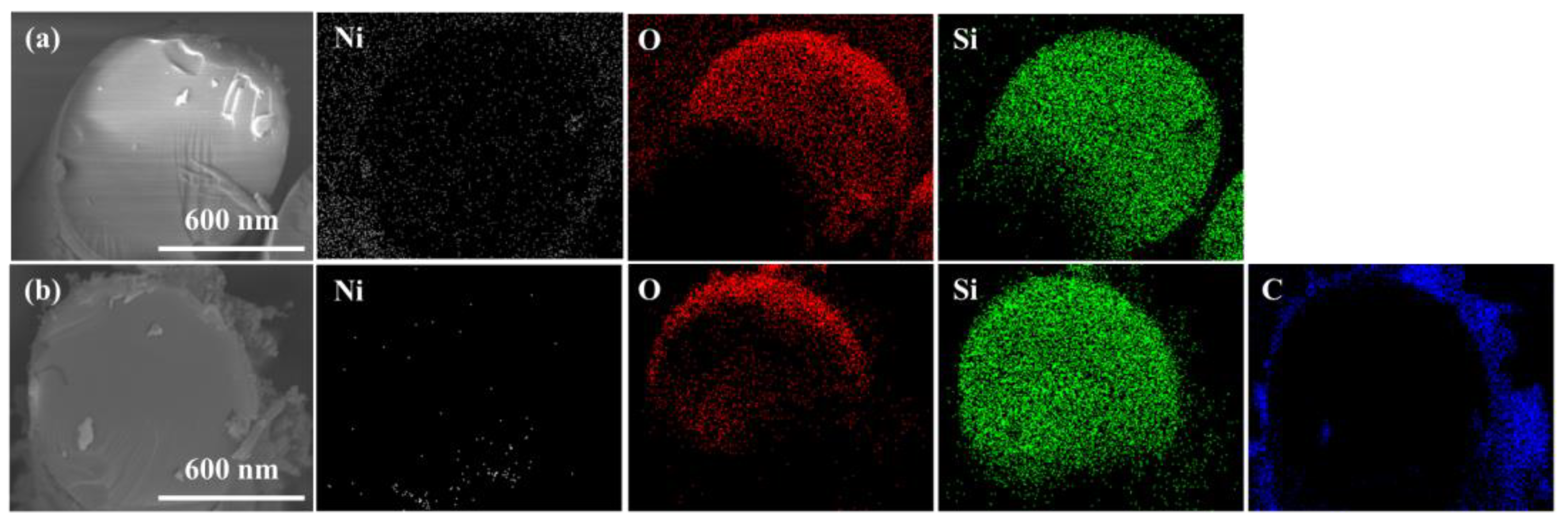 Materials 16 02604 g003