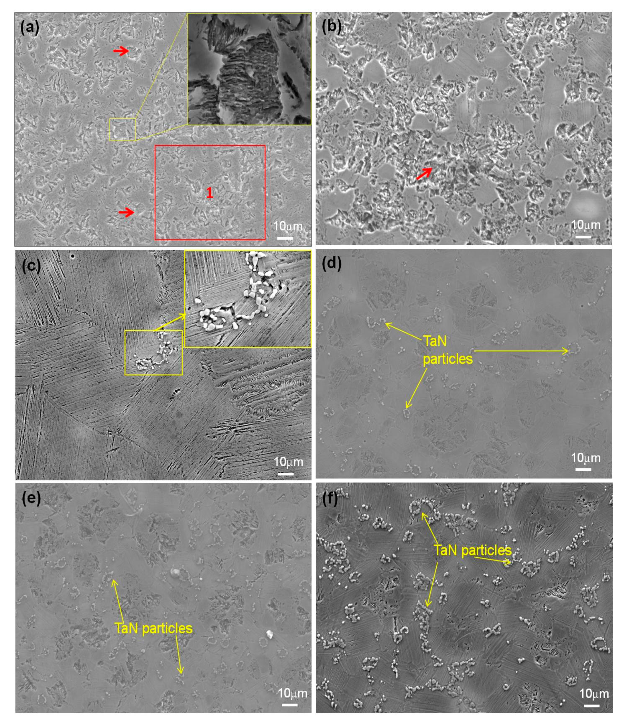 Materials 16 02607 g001 Materials 16 02607 g001