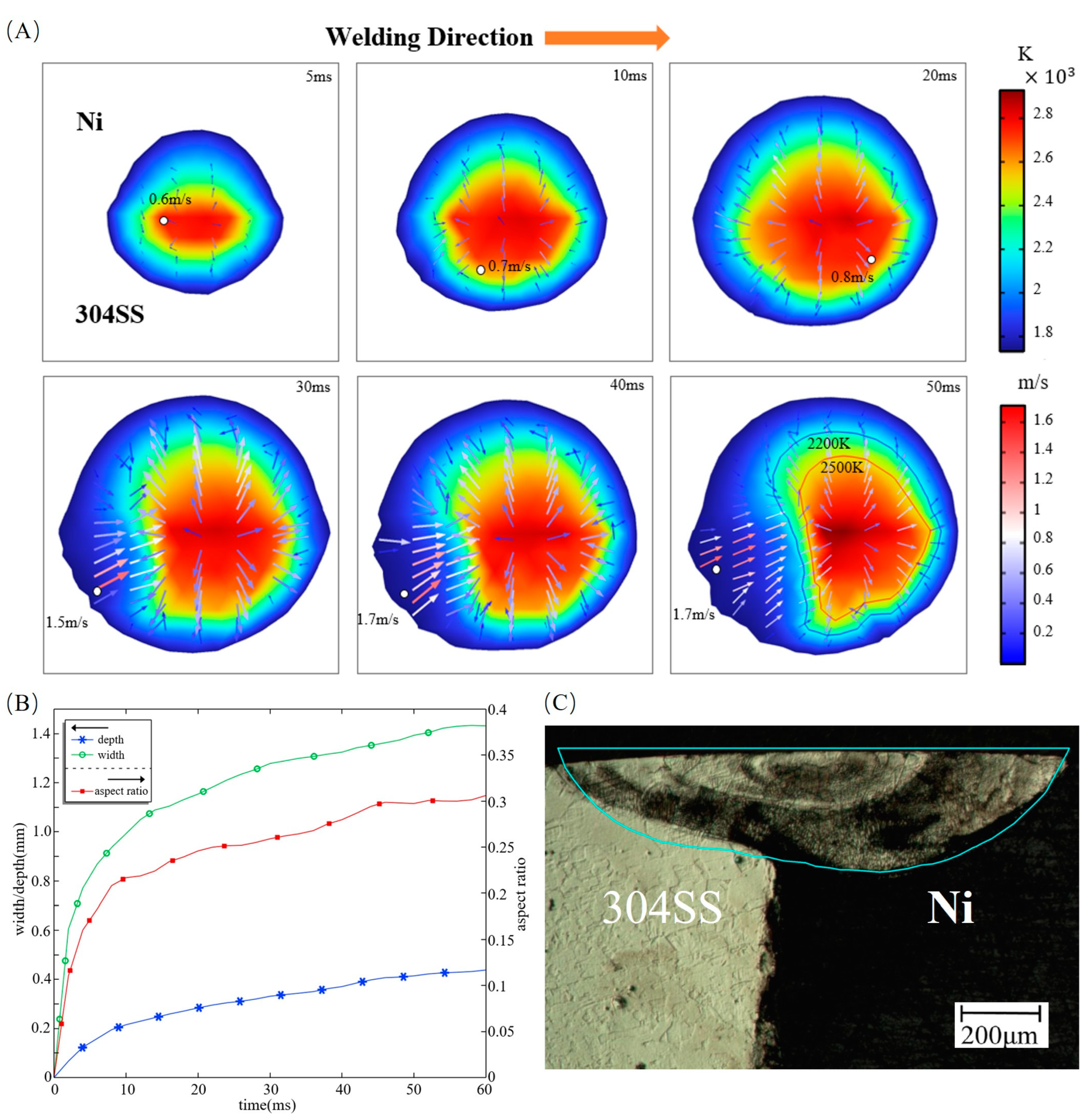Materials 16 02609 g002