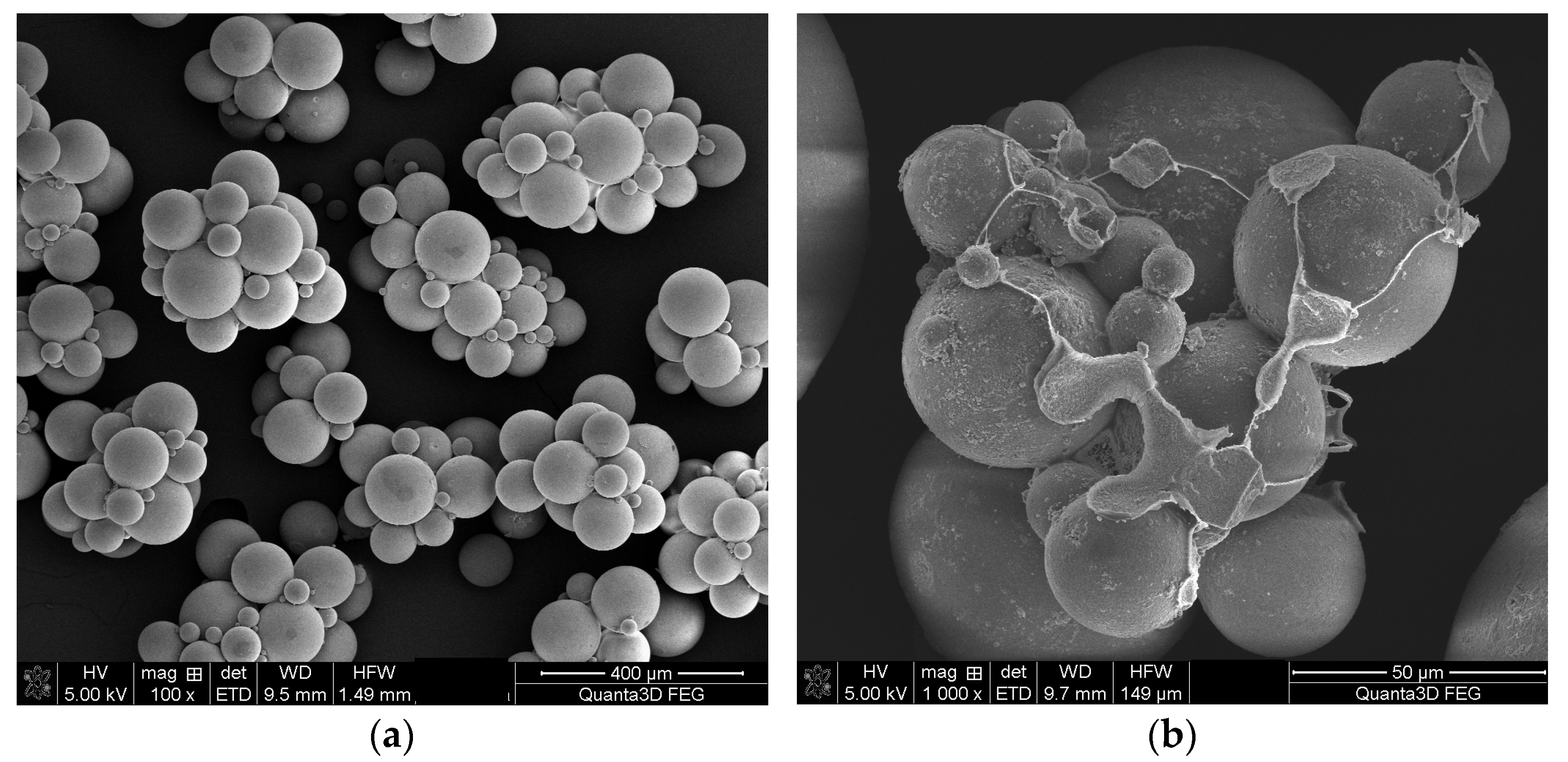 Materials 16 02610 g001 Materials 16 02610 g001