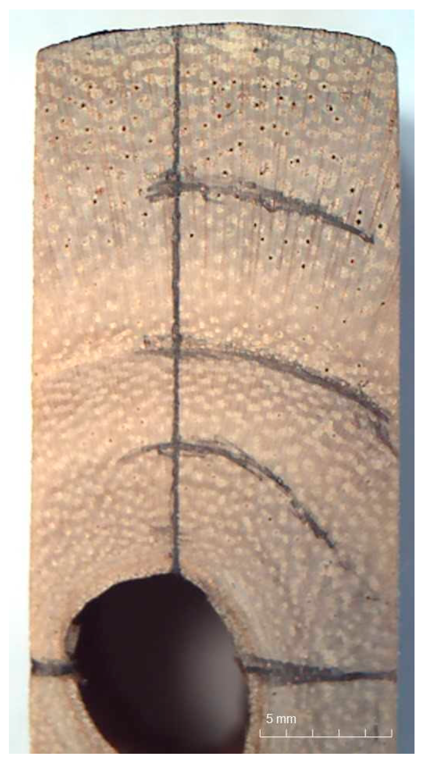 Materials 16 02615 g002 Materials 16 02615 g002