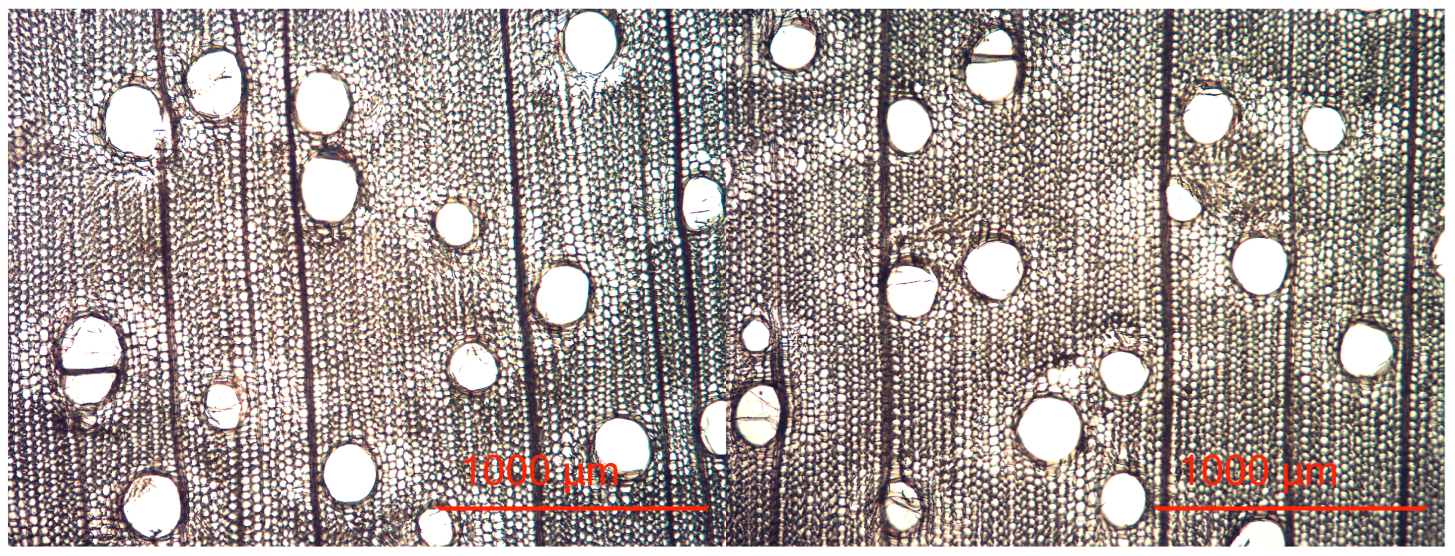 Materials 16 02615 g003 Materials 16 02615 g003