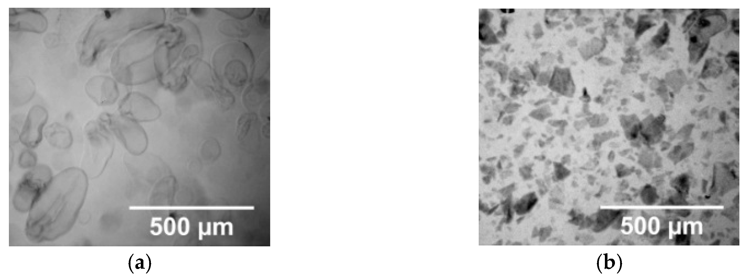 Materials 16 02621 g002