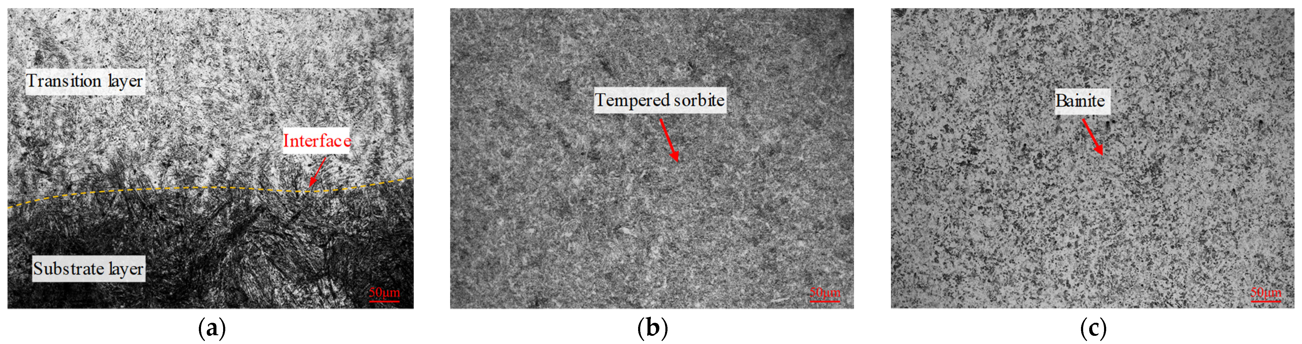 Materials 16 02639 g007