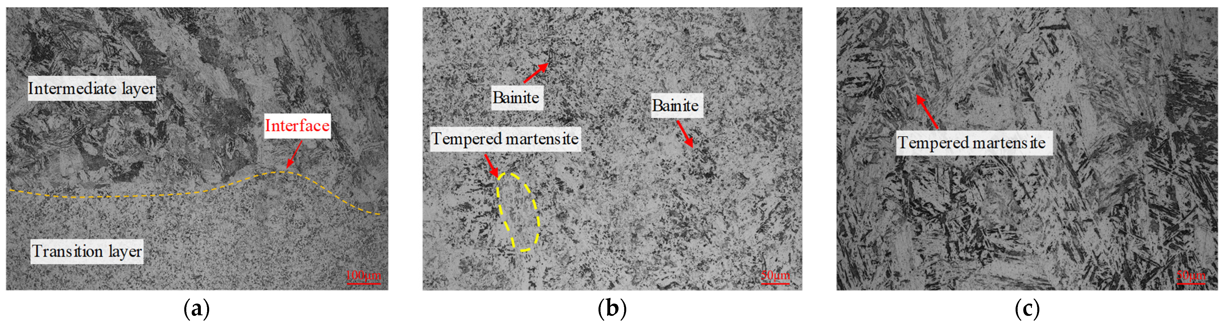 Materials 16 02639 g008
