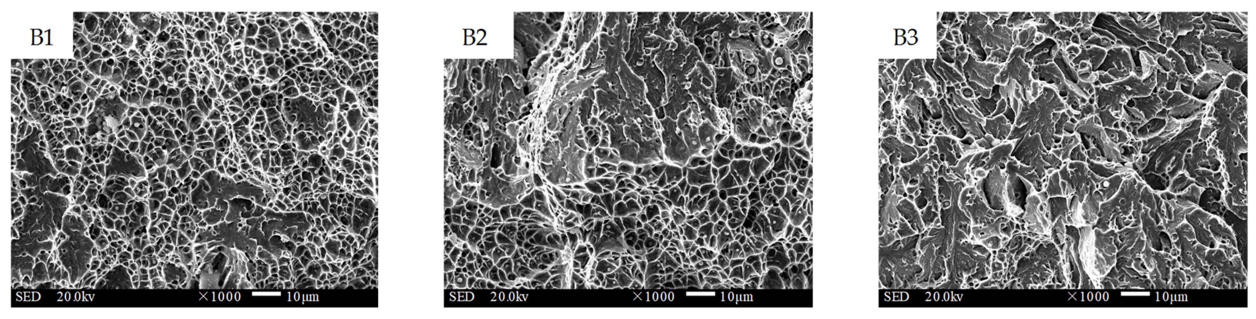 Materials 16 02639 g014